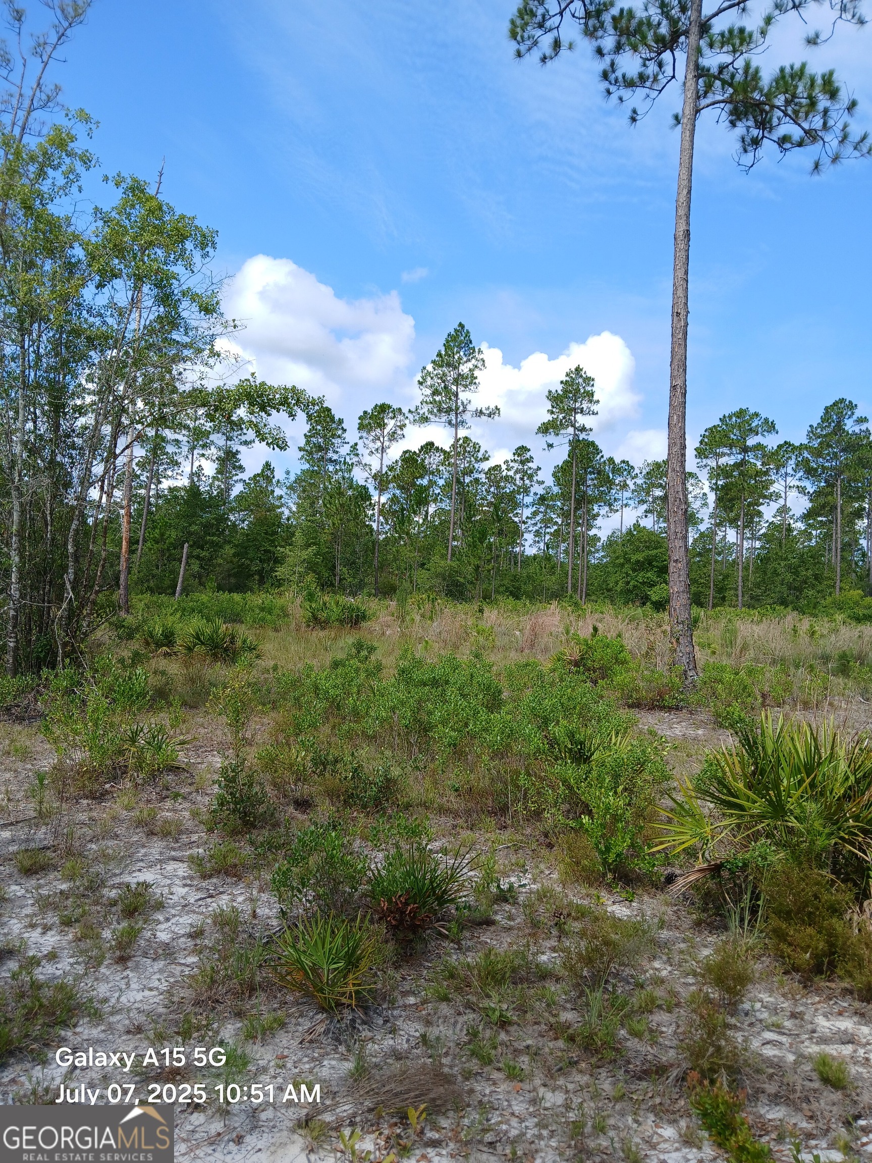 883 Okefenokee Club Road Property Photo 1