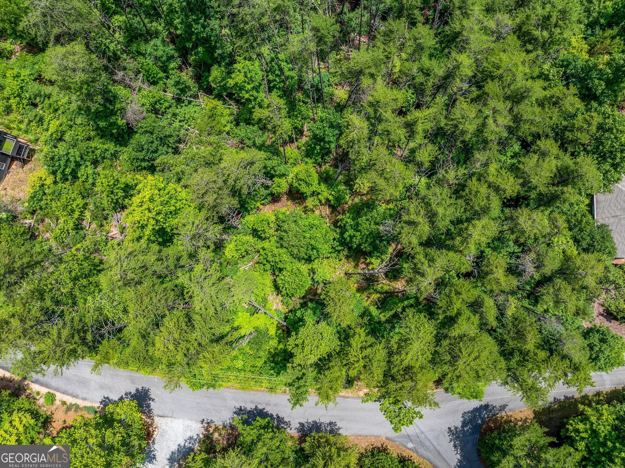 15d Woodbrier Property Photo 9