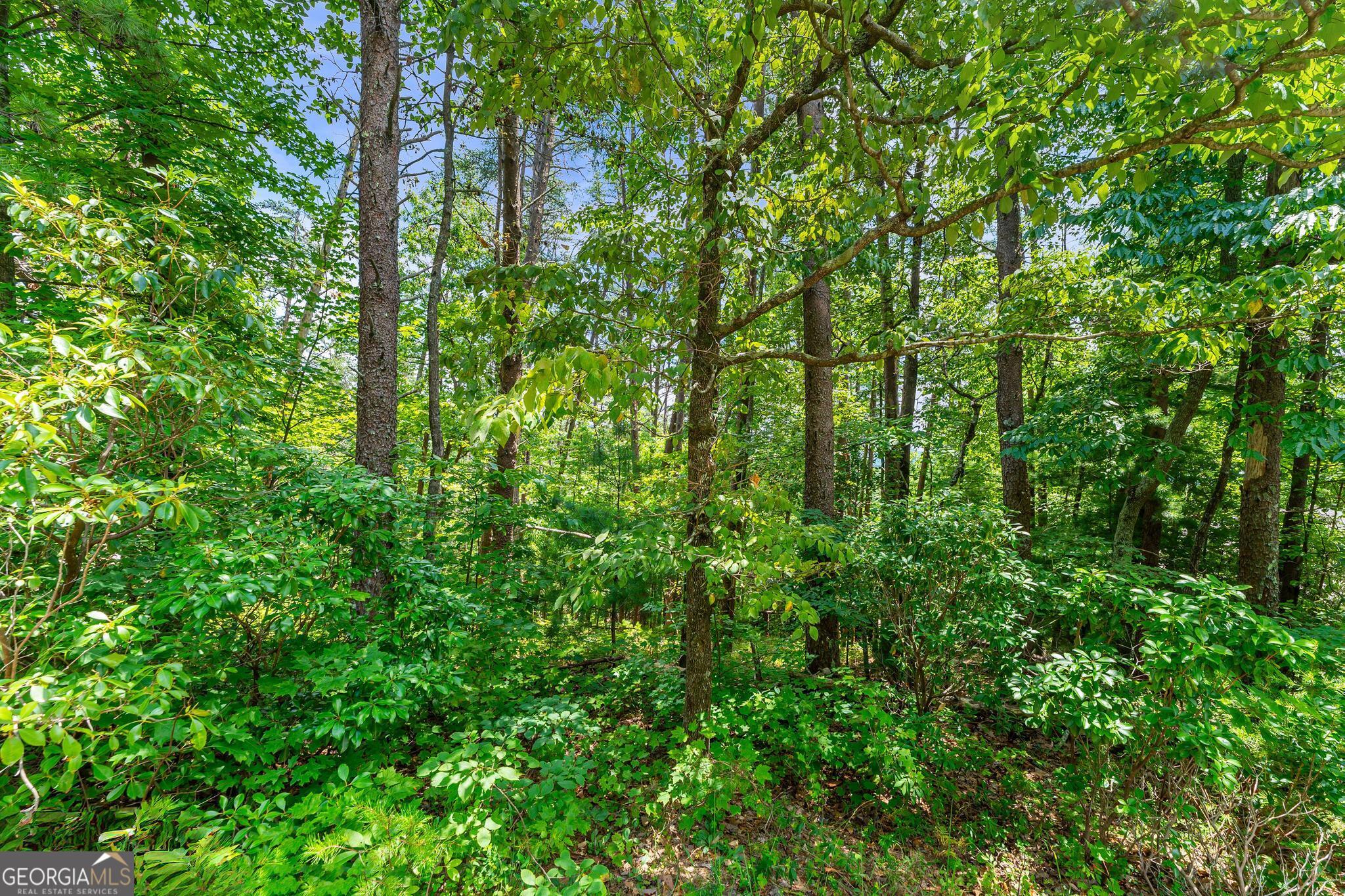15d Woodbrier Property Photo 11