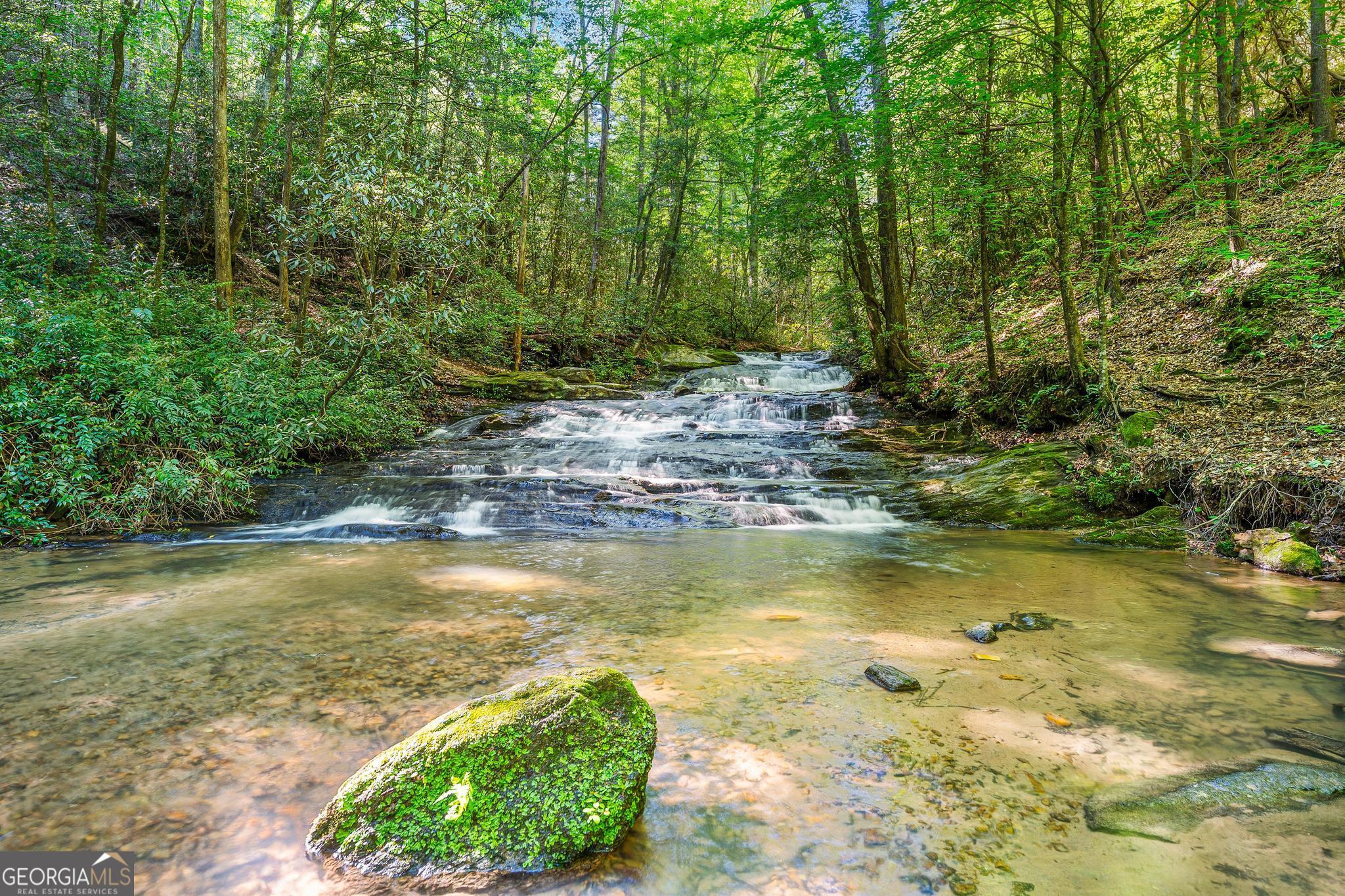15d Woodbrier Property Photo 19