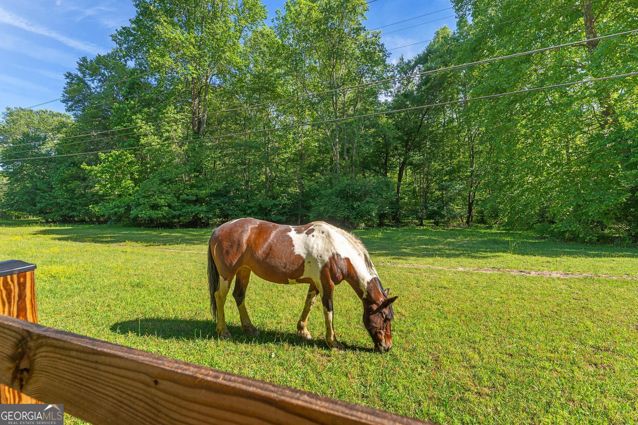 15d Woodbrier Property Photo 21