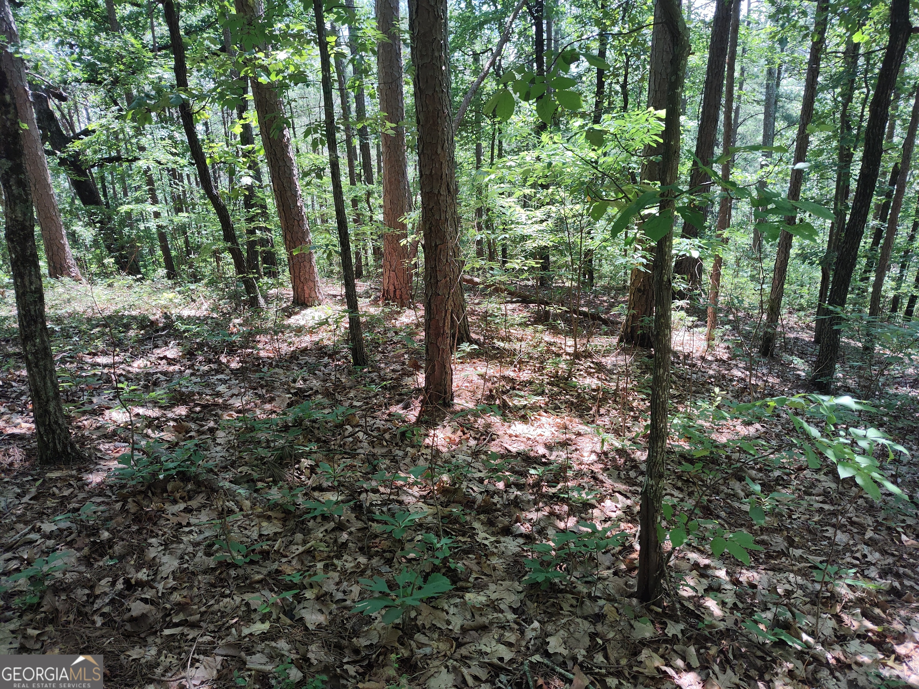 560 Neptune Circle Property Photo 19