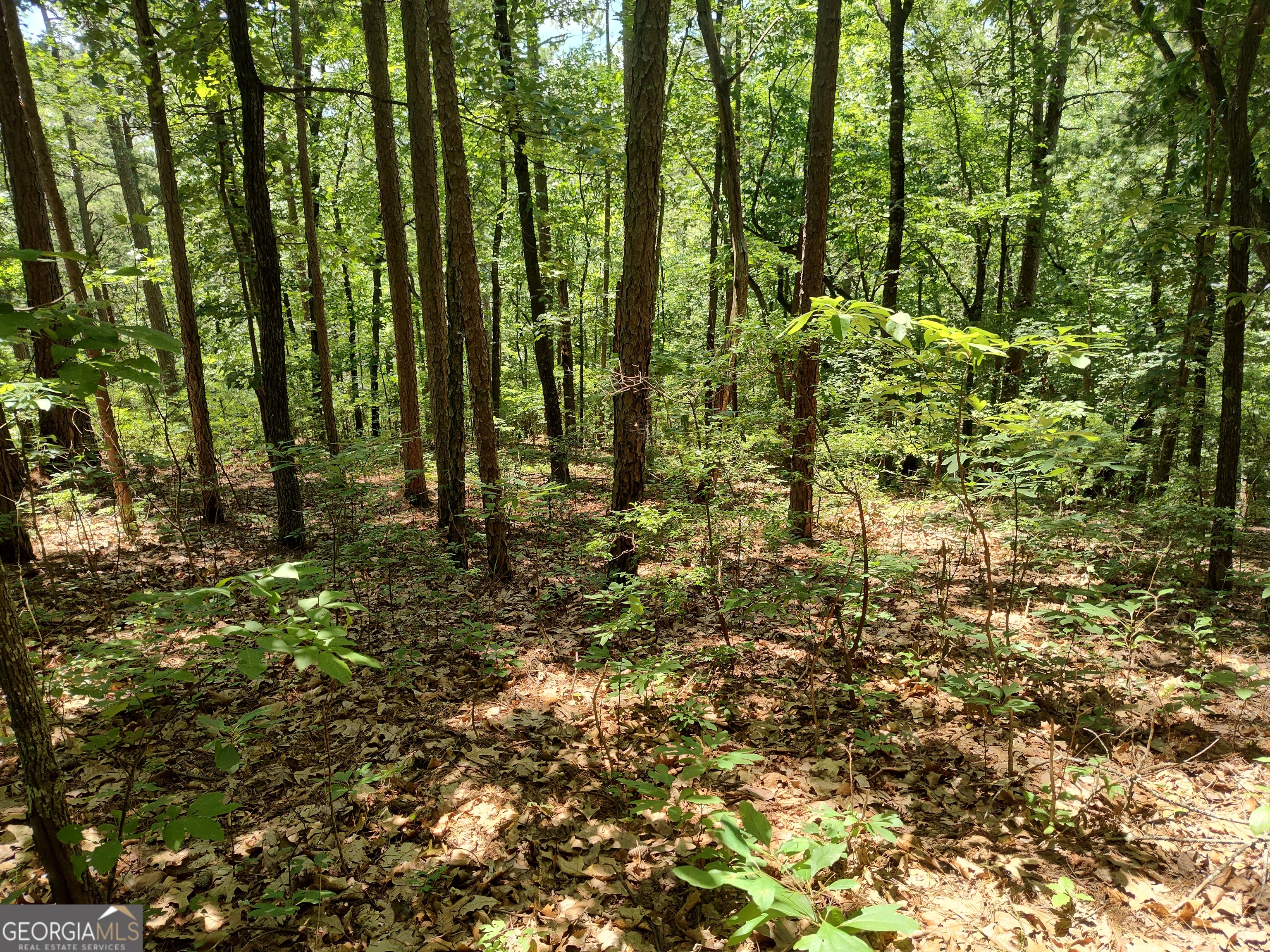 560 Neptune Circle Property Photo 20