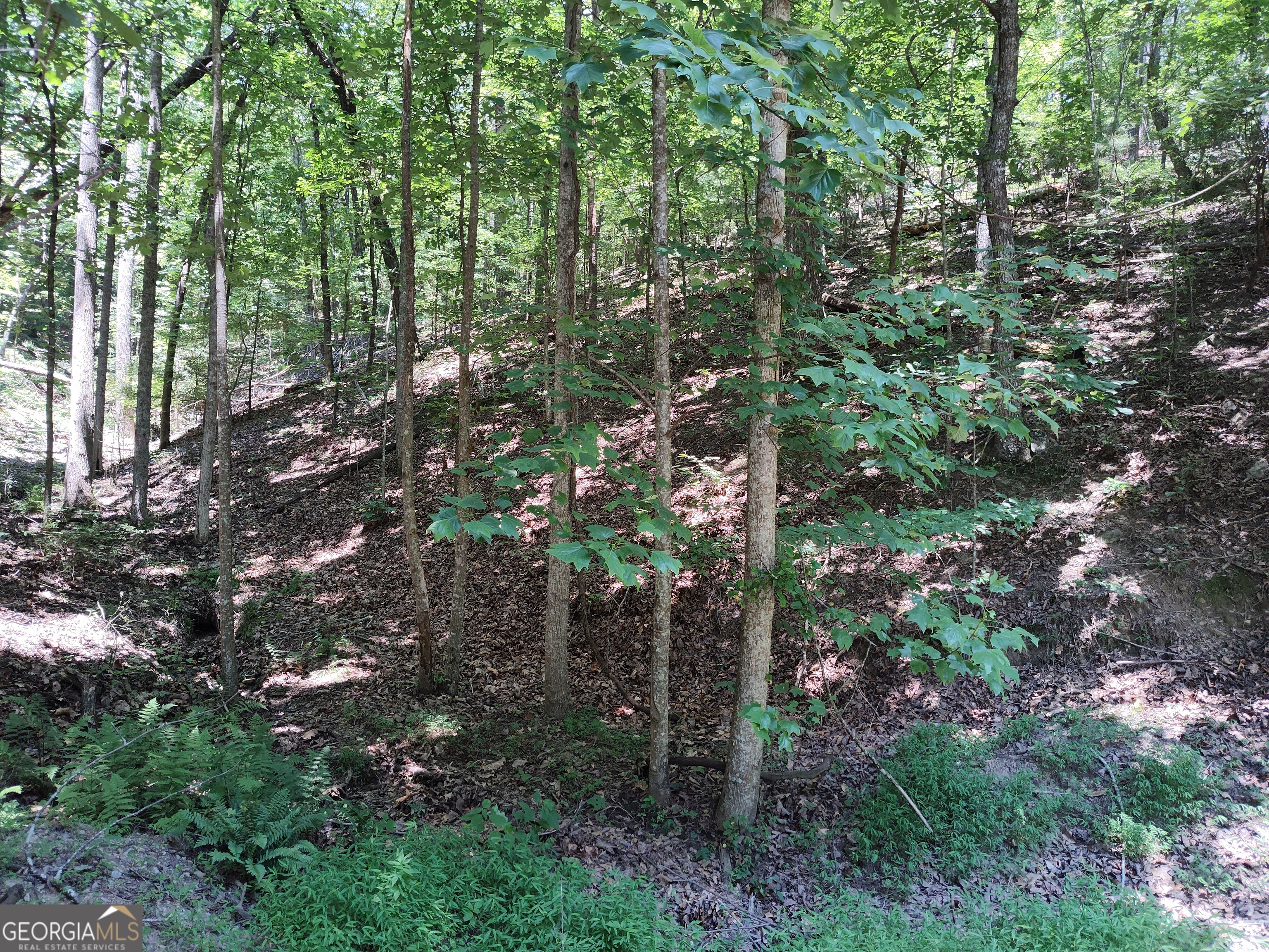 560 Neptune Circle Property Photo 21