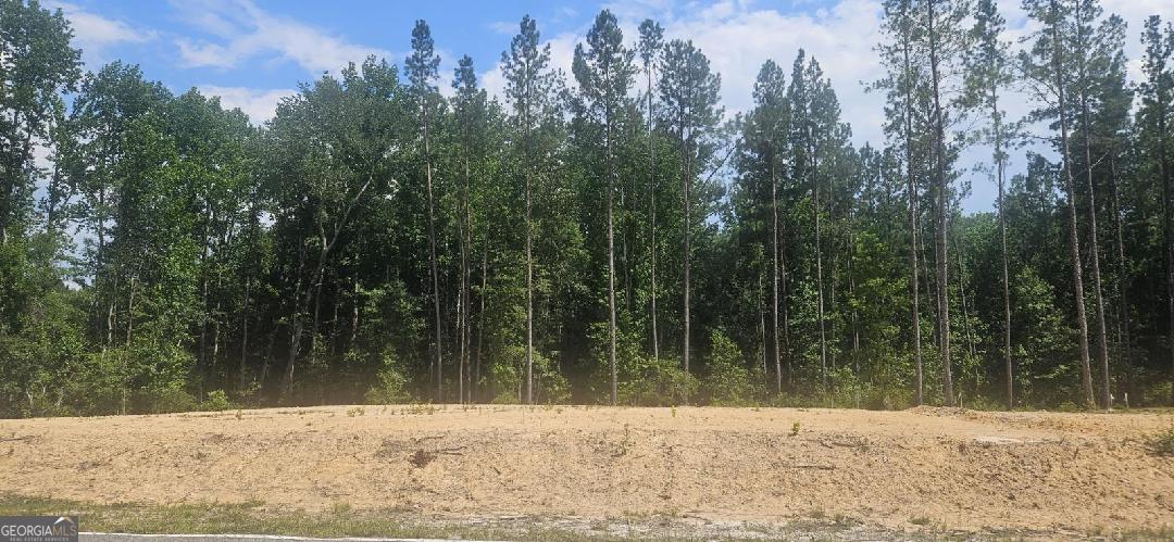 Lot #1 County Line Road Property Photo 1
