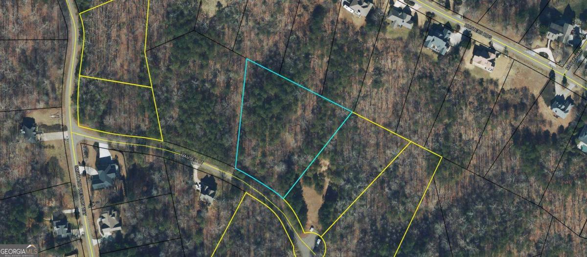 0 Mauser Ct Lot 175 Property Photo 1