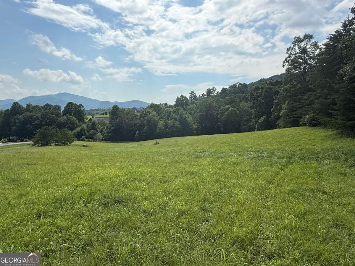 LOT 52 The Preserve At CC