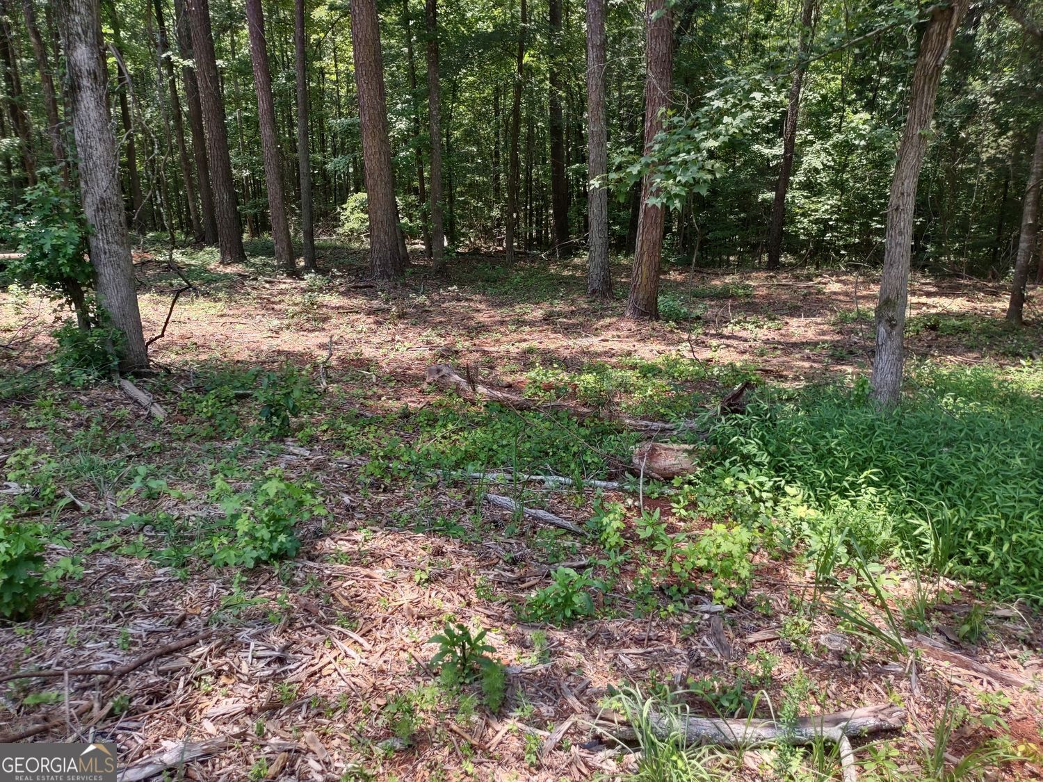 0 Panhandle Road Lot 4 Property Photo 12