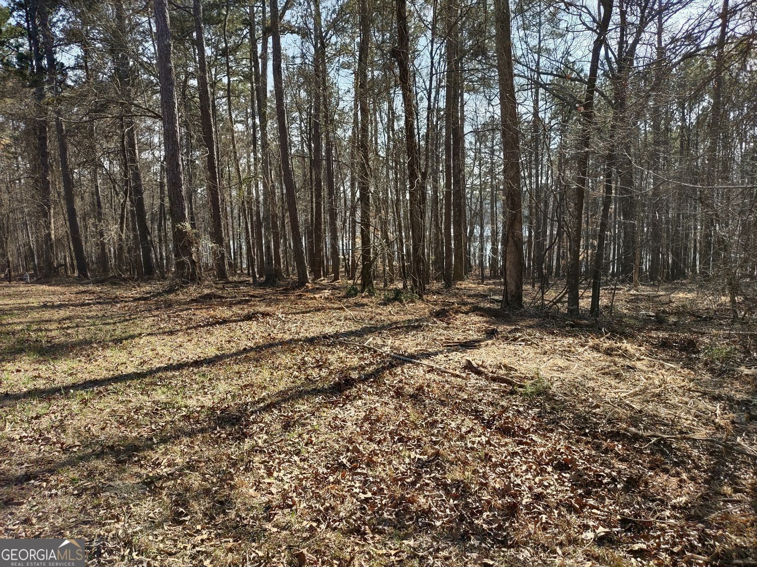 0 Panhandle Road Lot 4 Property Photo 20