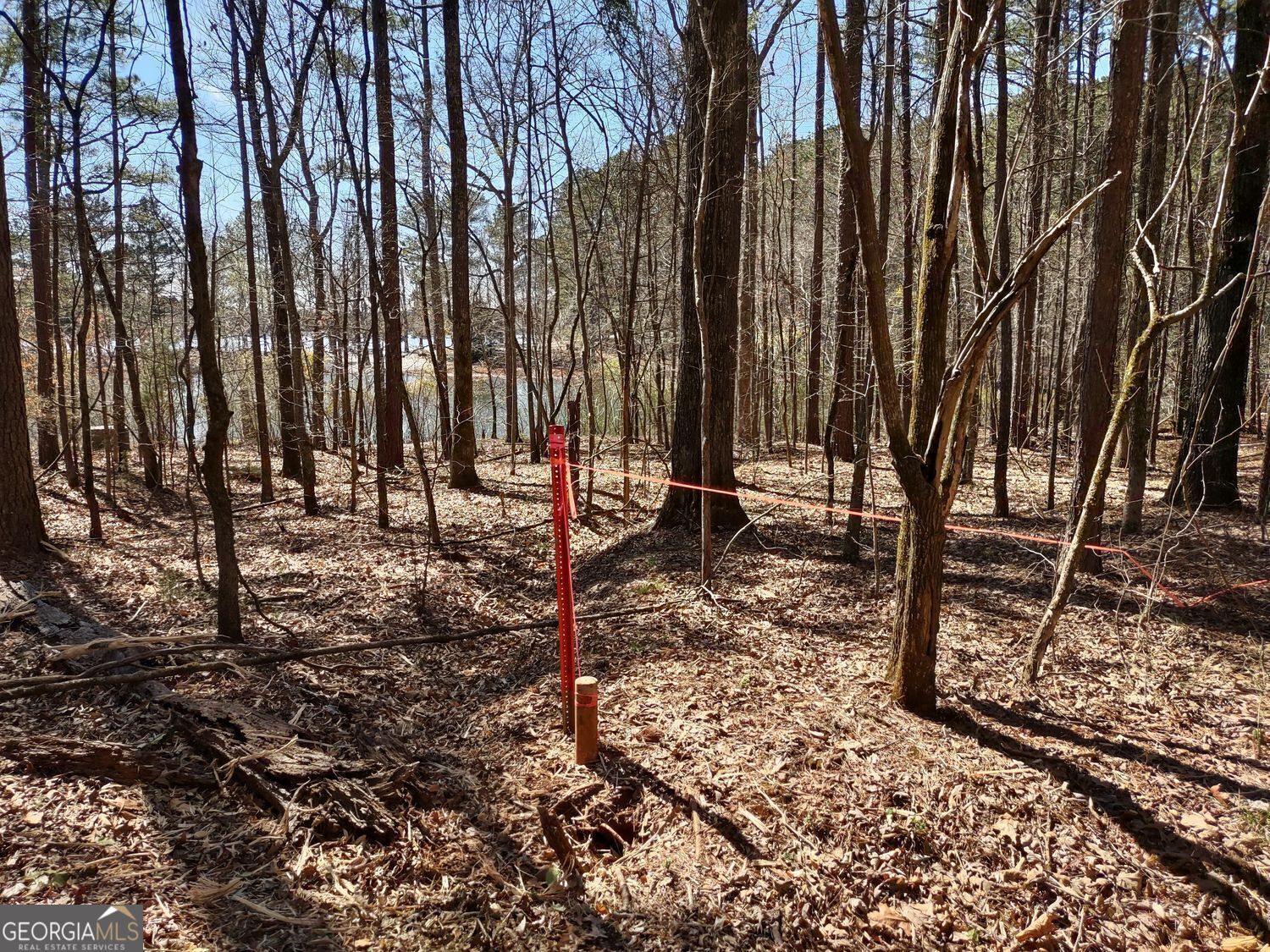 0 Panhandle Road Lot 4 Property Photo 25