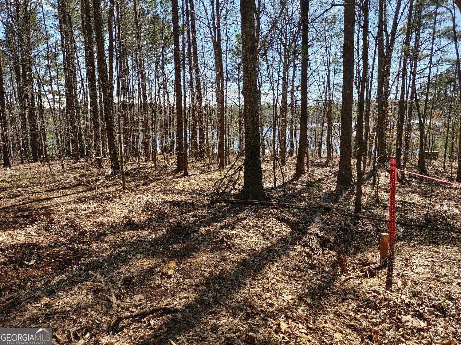 0 Panhandle Road Lot 4 Property Photo 26