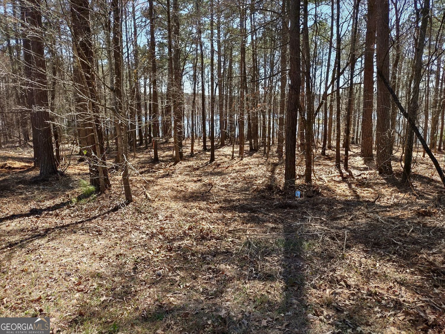 0 Panhandle Road Lot 4 Property Photo 28