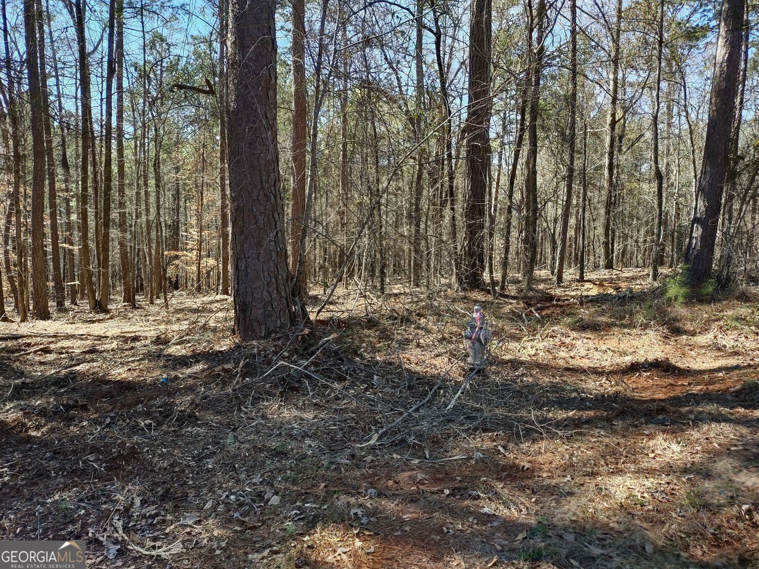 0 Panhandle Road Lot 4 Property Photo 29