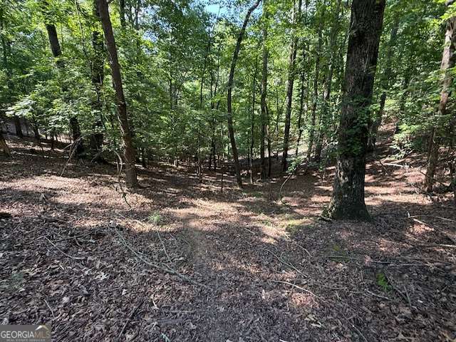 2115 Palisade Drive Property Photo 1