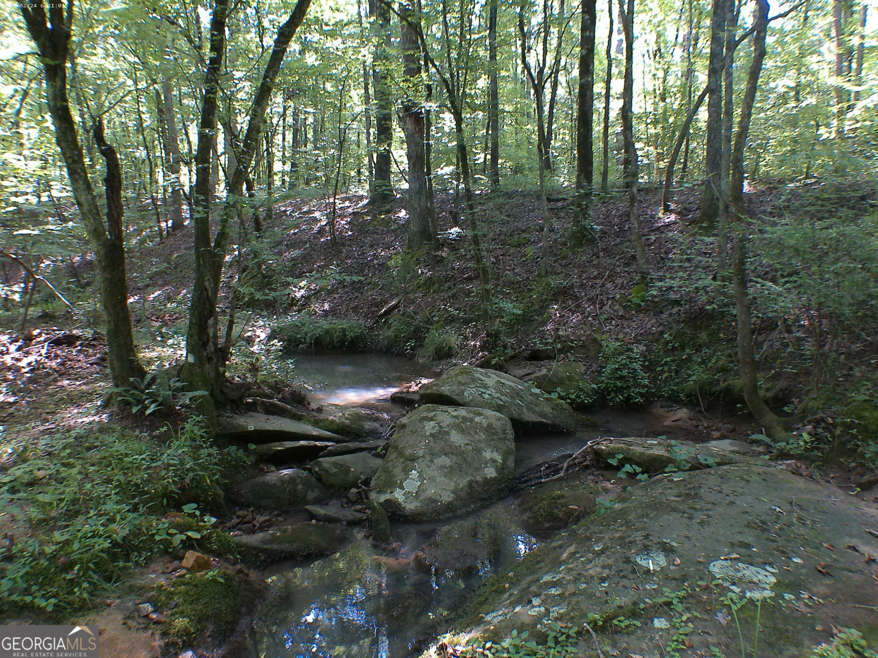 0 Mt Tabor Road Property Photo 5