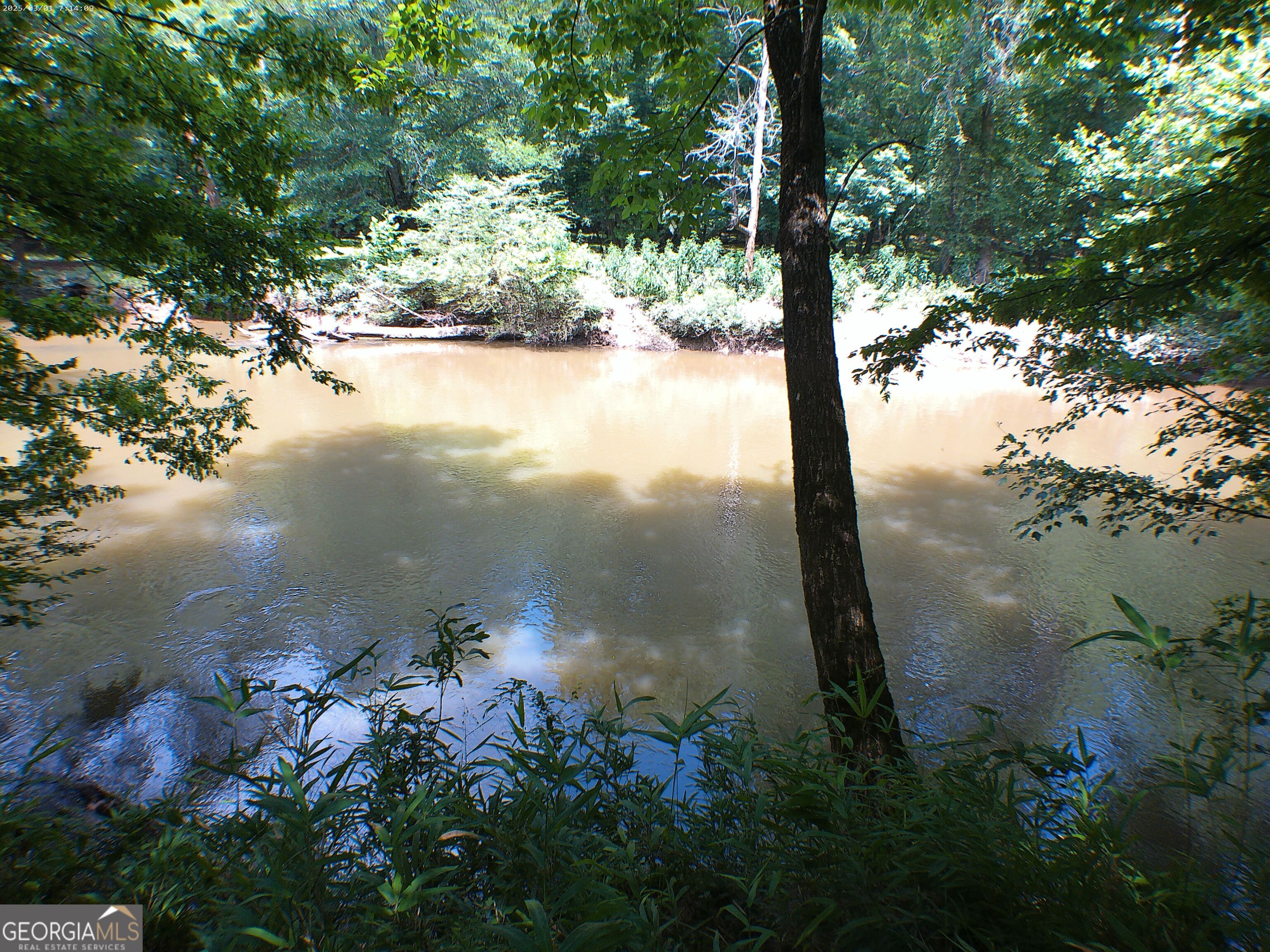 0 Mt Tabor Road Property Photo 6