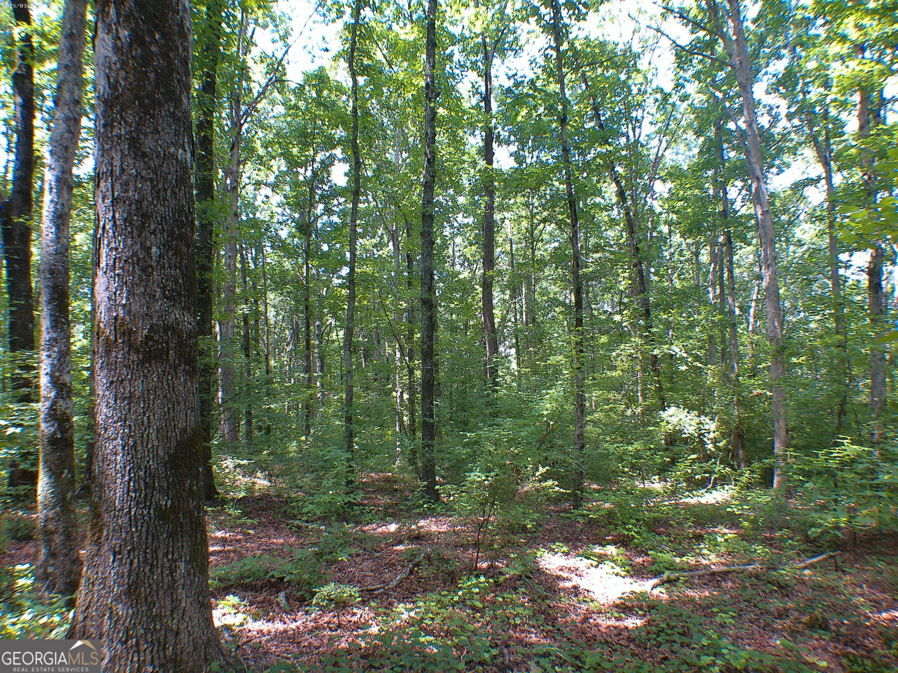 0 Mt Tabor Road Property Photo 7
