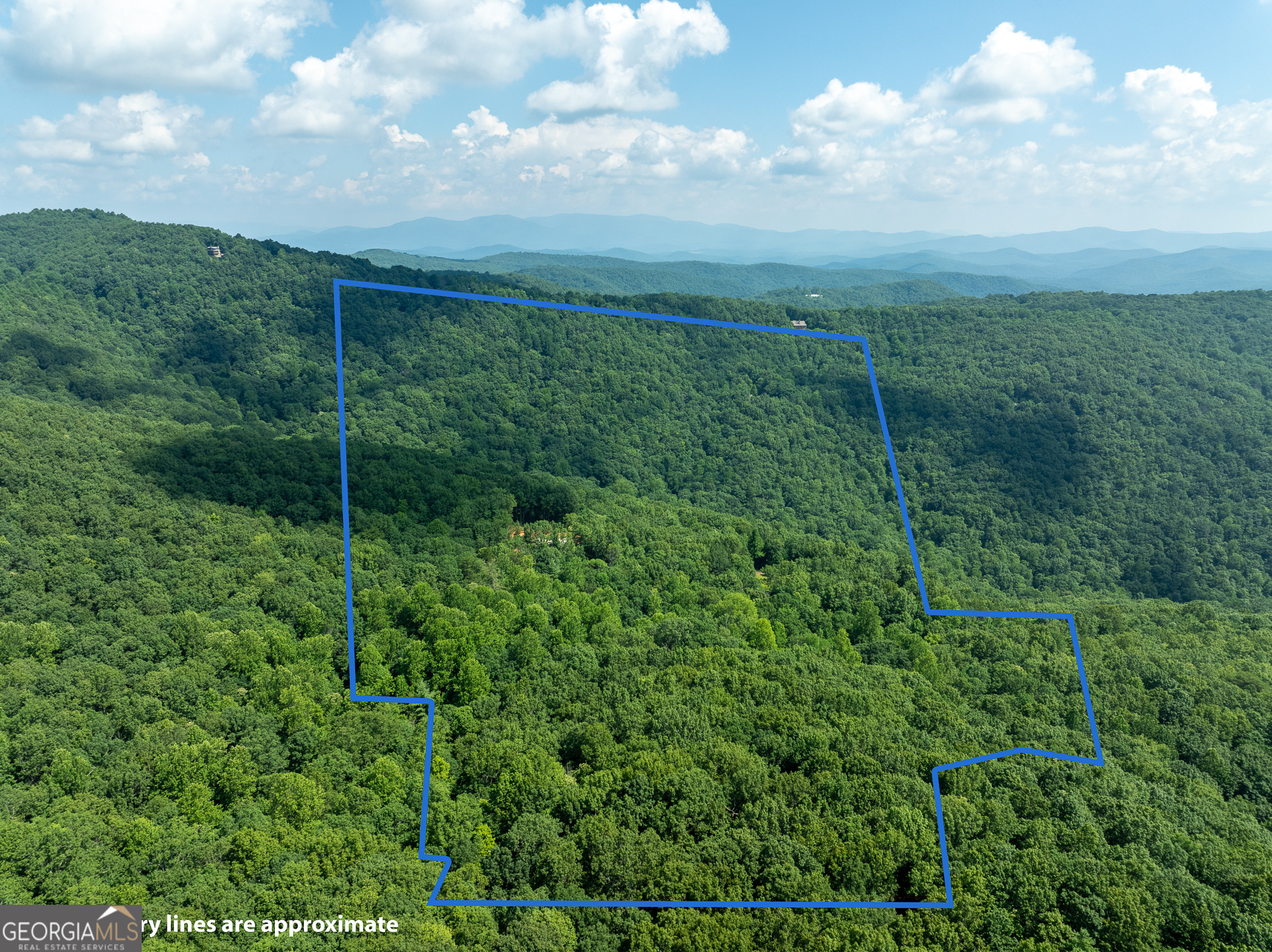 1298 Cold Stream Trail Property Photo 5