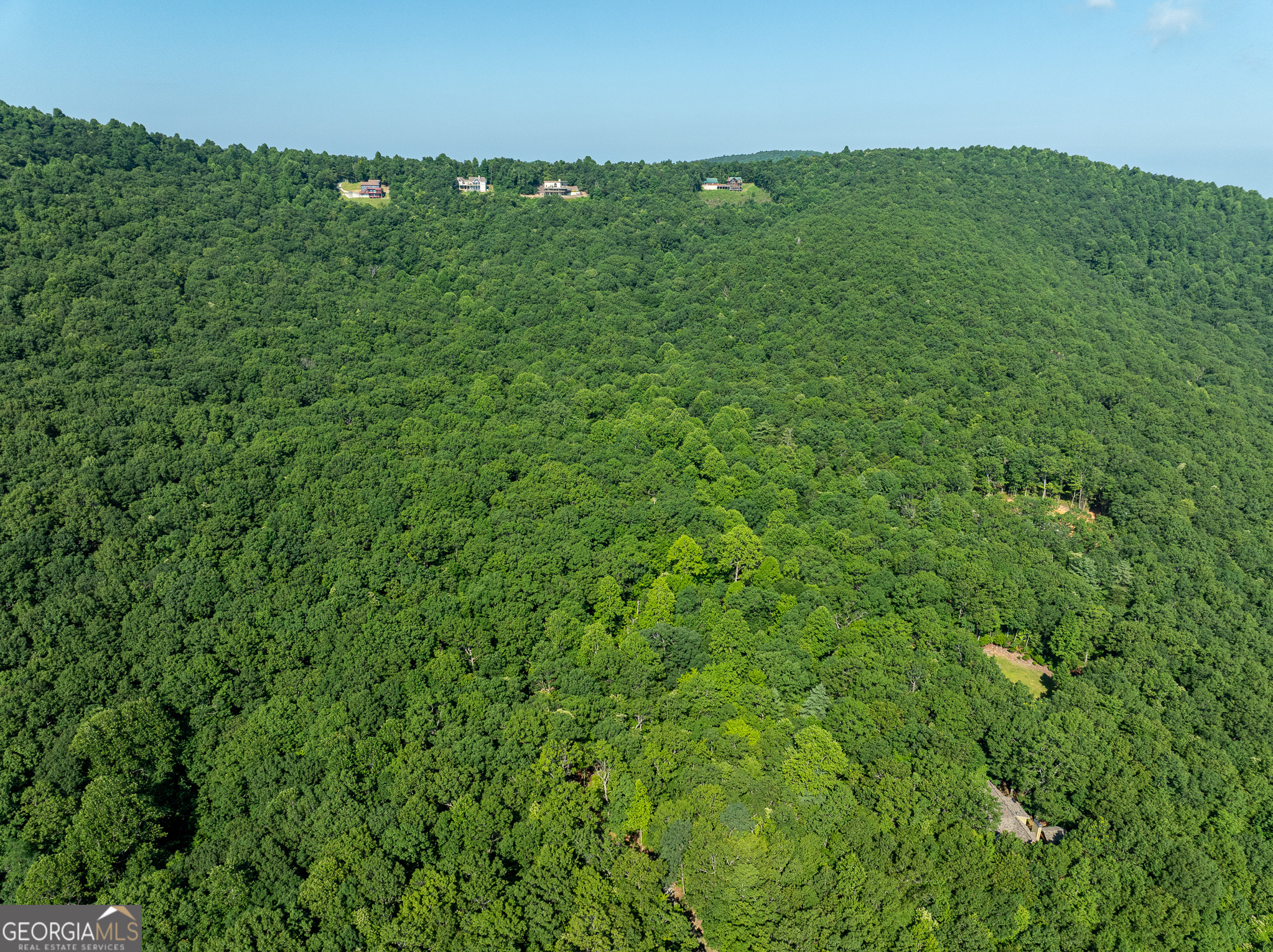 1298 Cold Stream Trail Property Photo 6