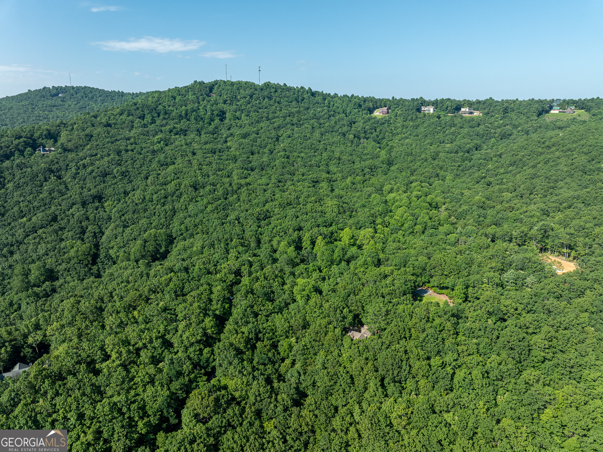 1298 Cold Stream Trail Property Photo 7