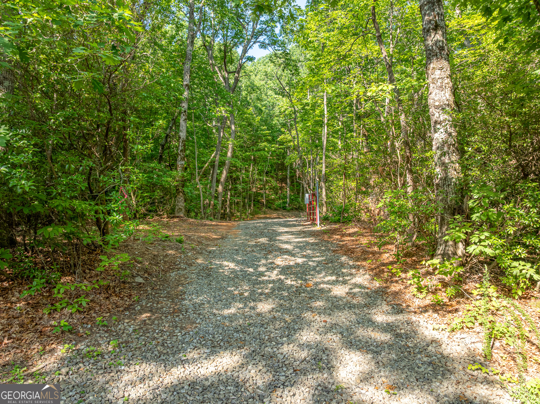 1298 Cold Stream Trail Property Photo 9