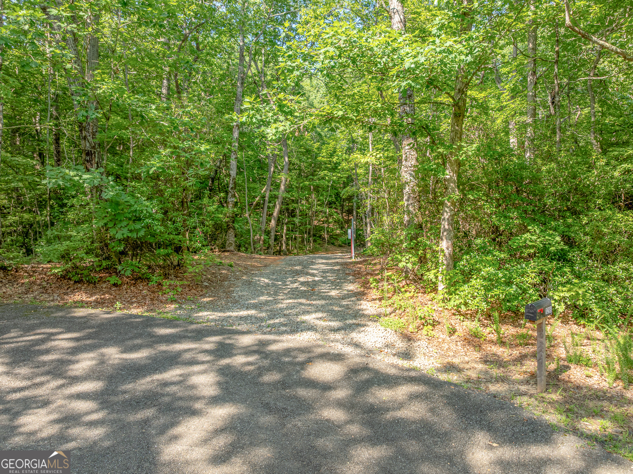 1298 Cold Stream Trail Property Photo 10