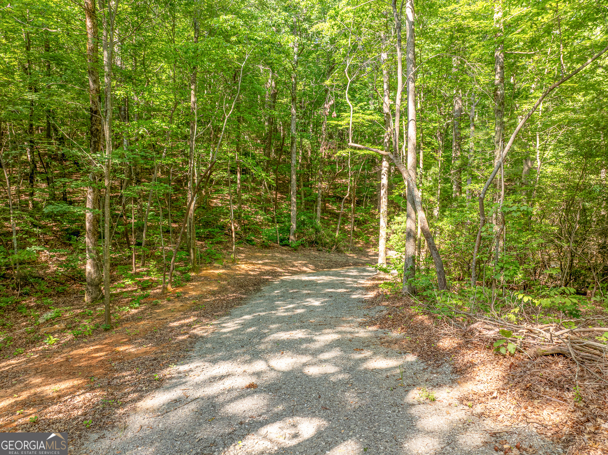 1298 Cold Stream Trail Property Photo 11