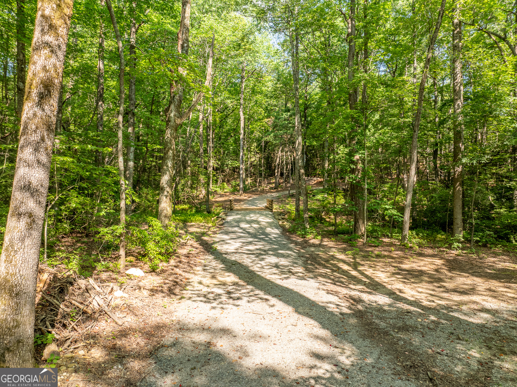 1298 Cold Stream Trail Property Photo 12
