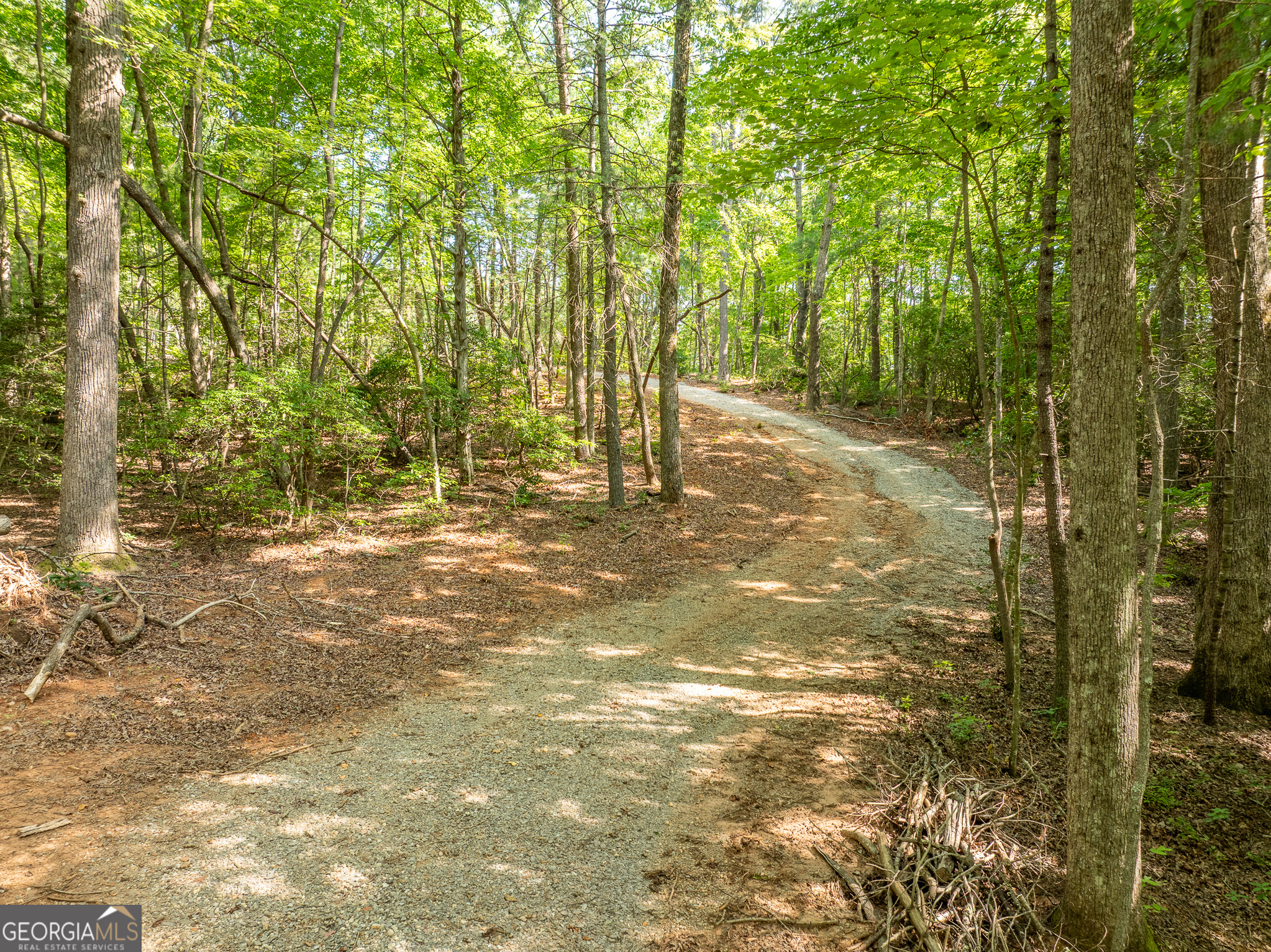 1298 Cold Stream Trail Property Photo 13
