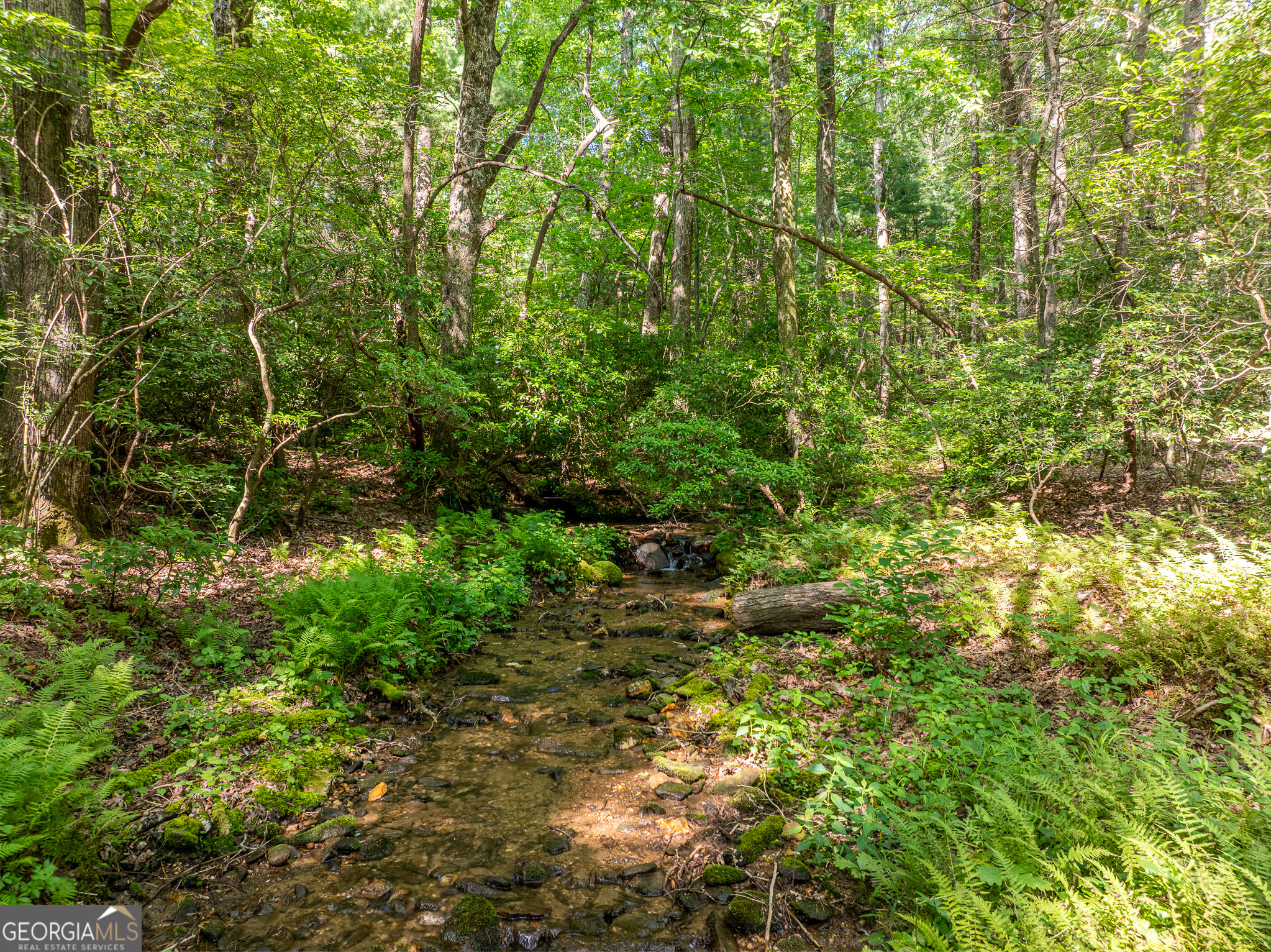 1298 Cold Stream Trail Property Photo 14