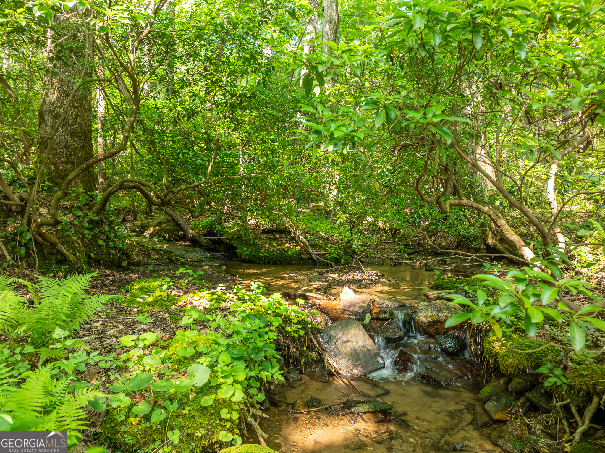1298 Cold Stream Trail Property Photo 15