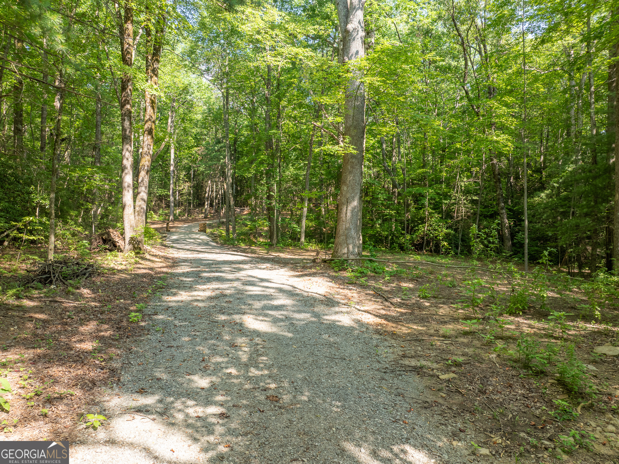 1298 Cold Stream Trail Property Photo 16