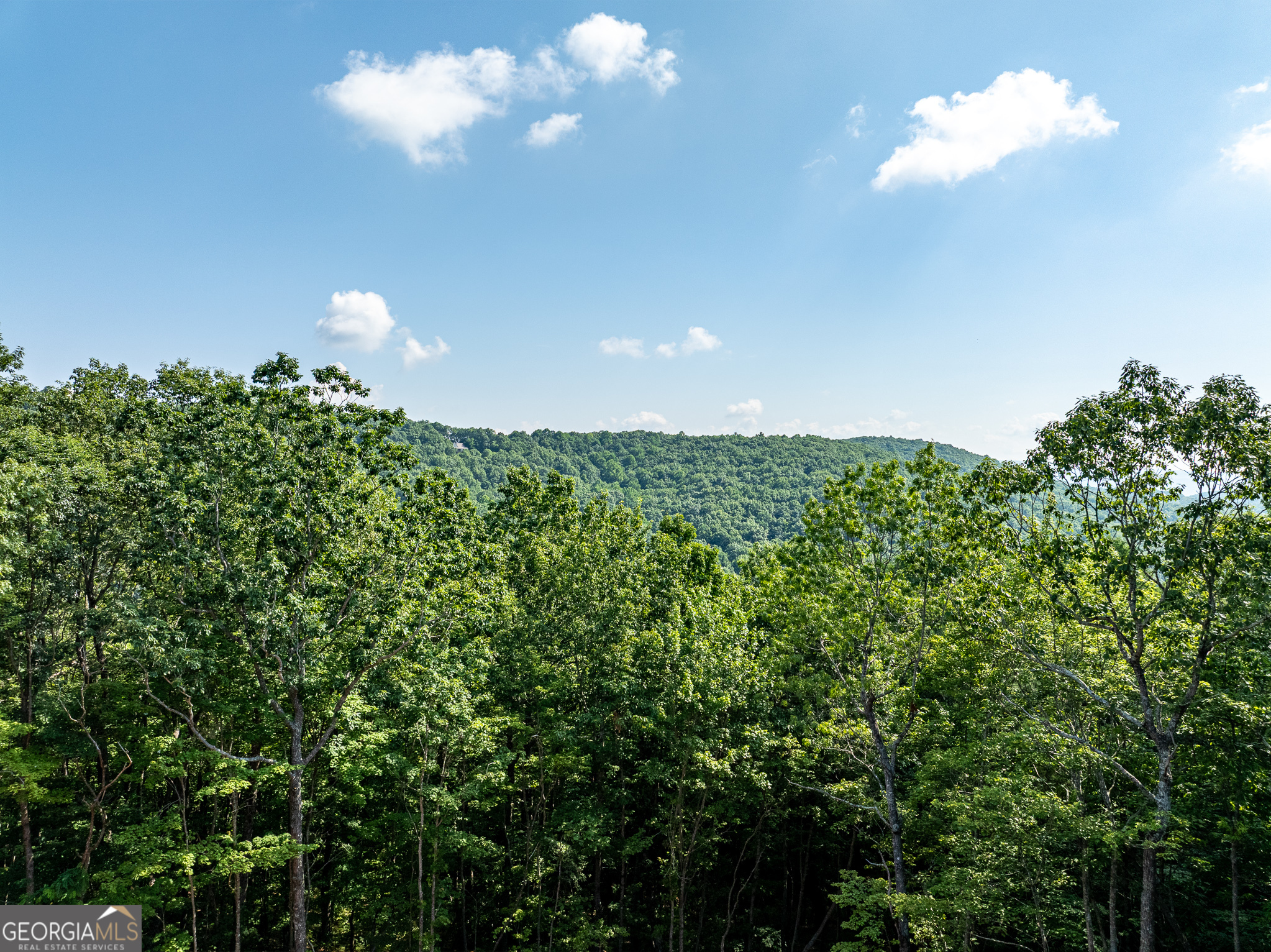 1298 Cold Stream Trail Property Photo 17