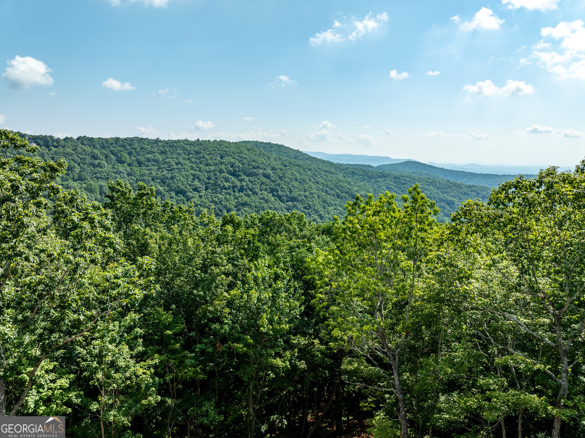 1298 Cold Stream Trail Property Photo 29