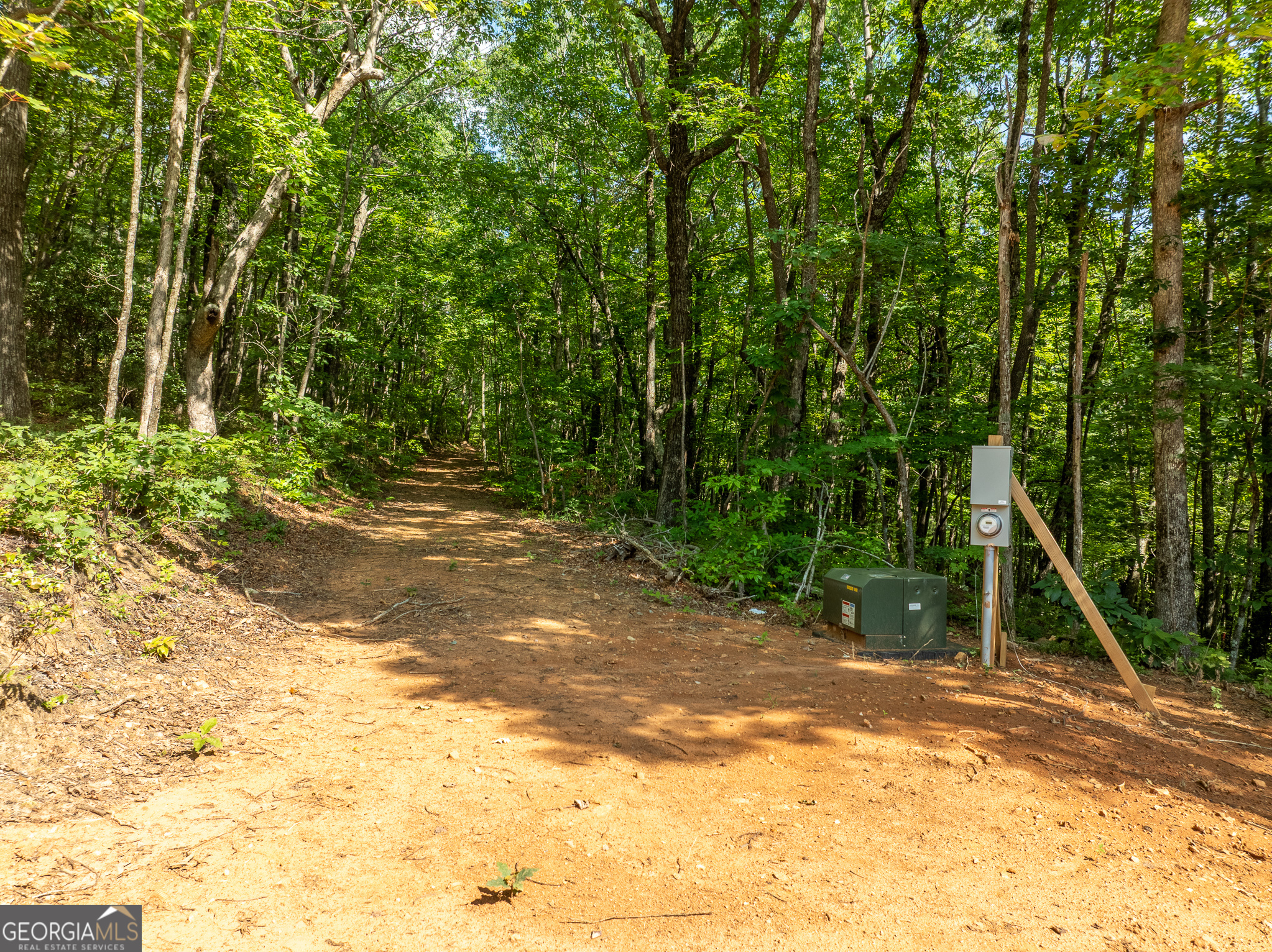1298 Cold Stream Trail Property Photo 33