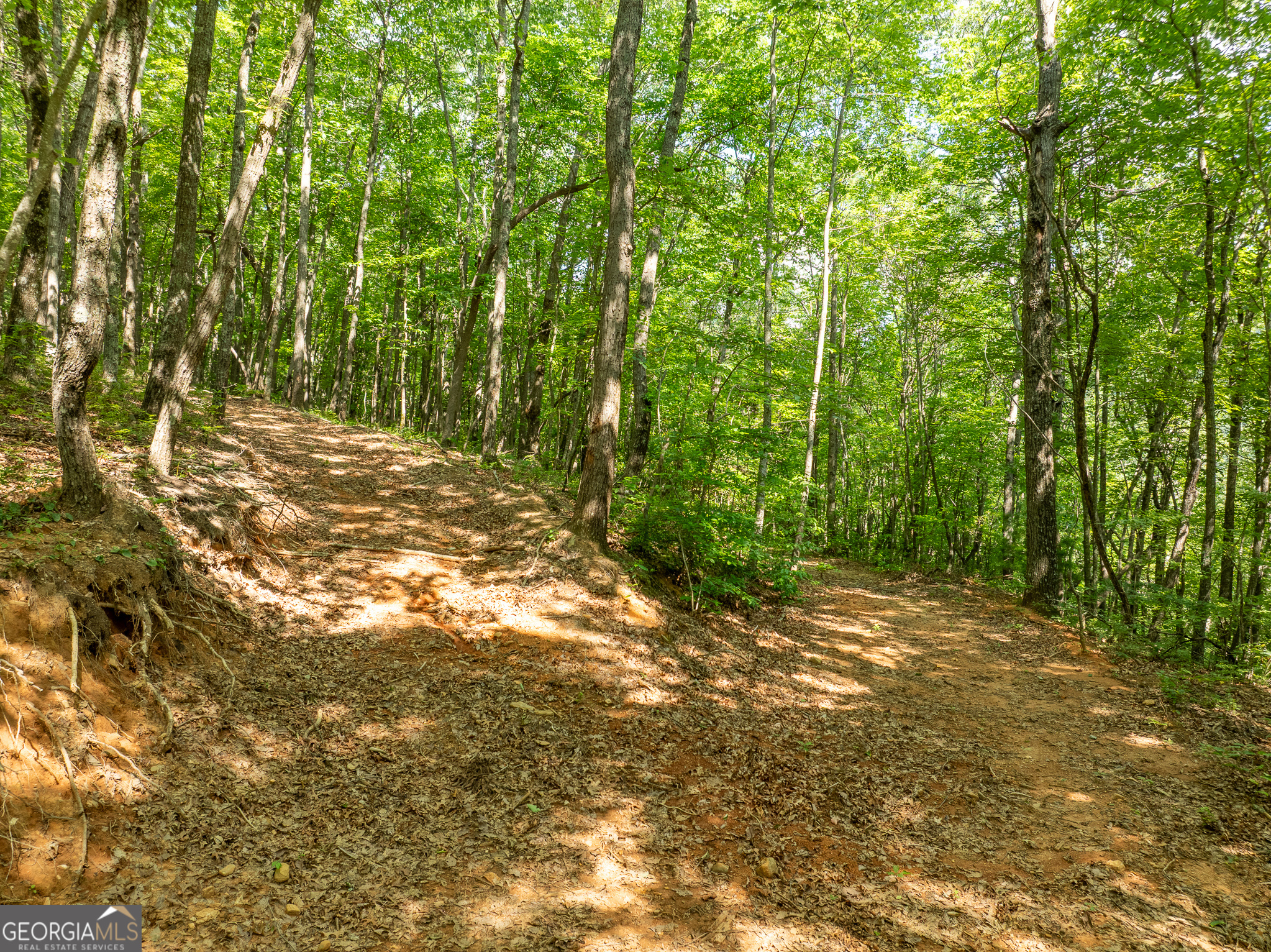 1298 Cold Stream Trail Property Photo 34
