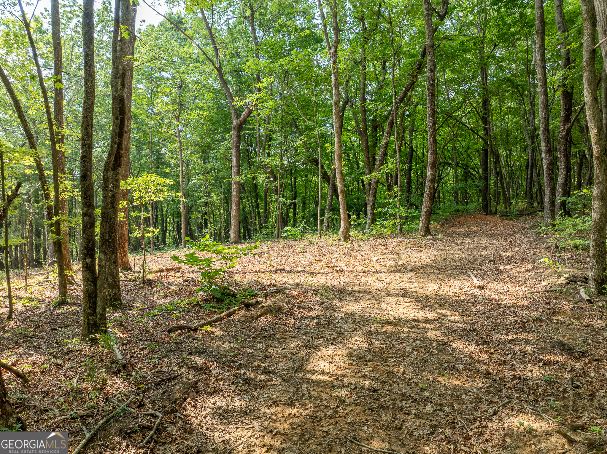 1298 Cold Stream Trail Property Photo 35