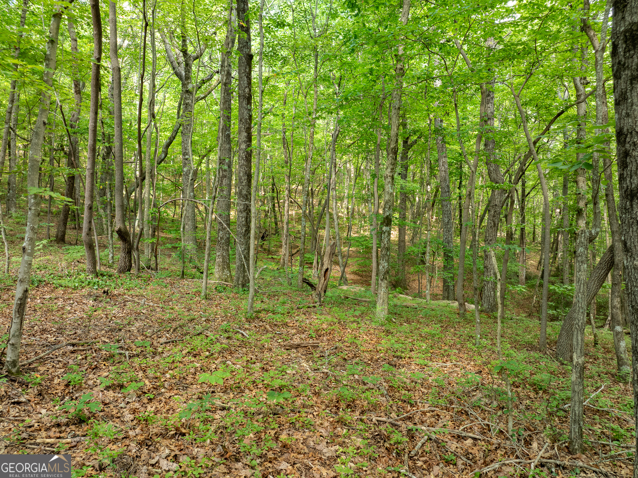 1298 Cold Stream Trail Property Photo 36