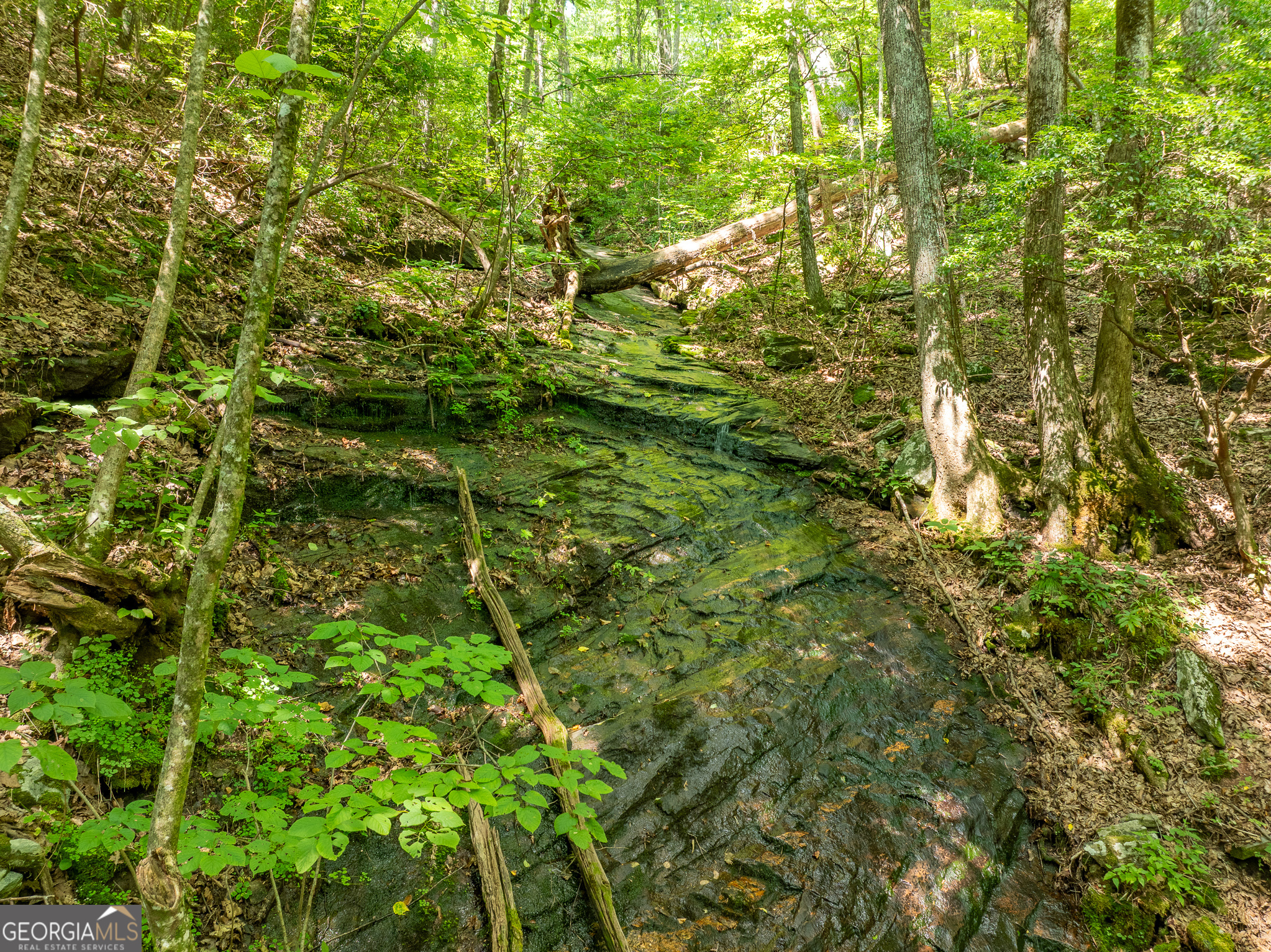 1298 Cold Stream Trail Property Photo 37