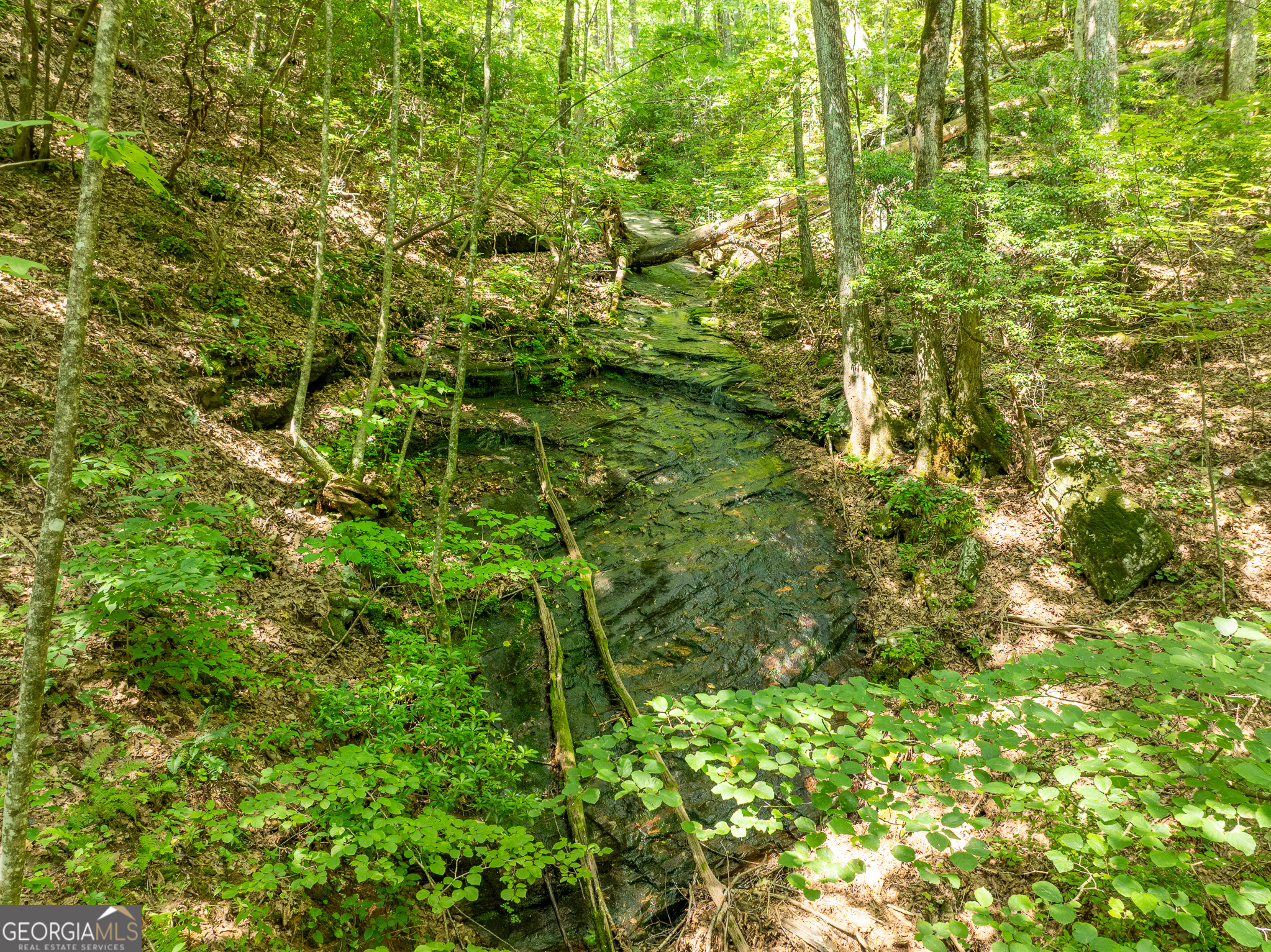 1298 Cold Stream Trail Property Photo 38