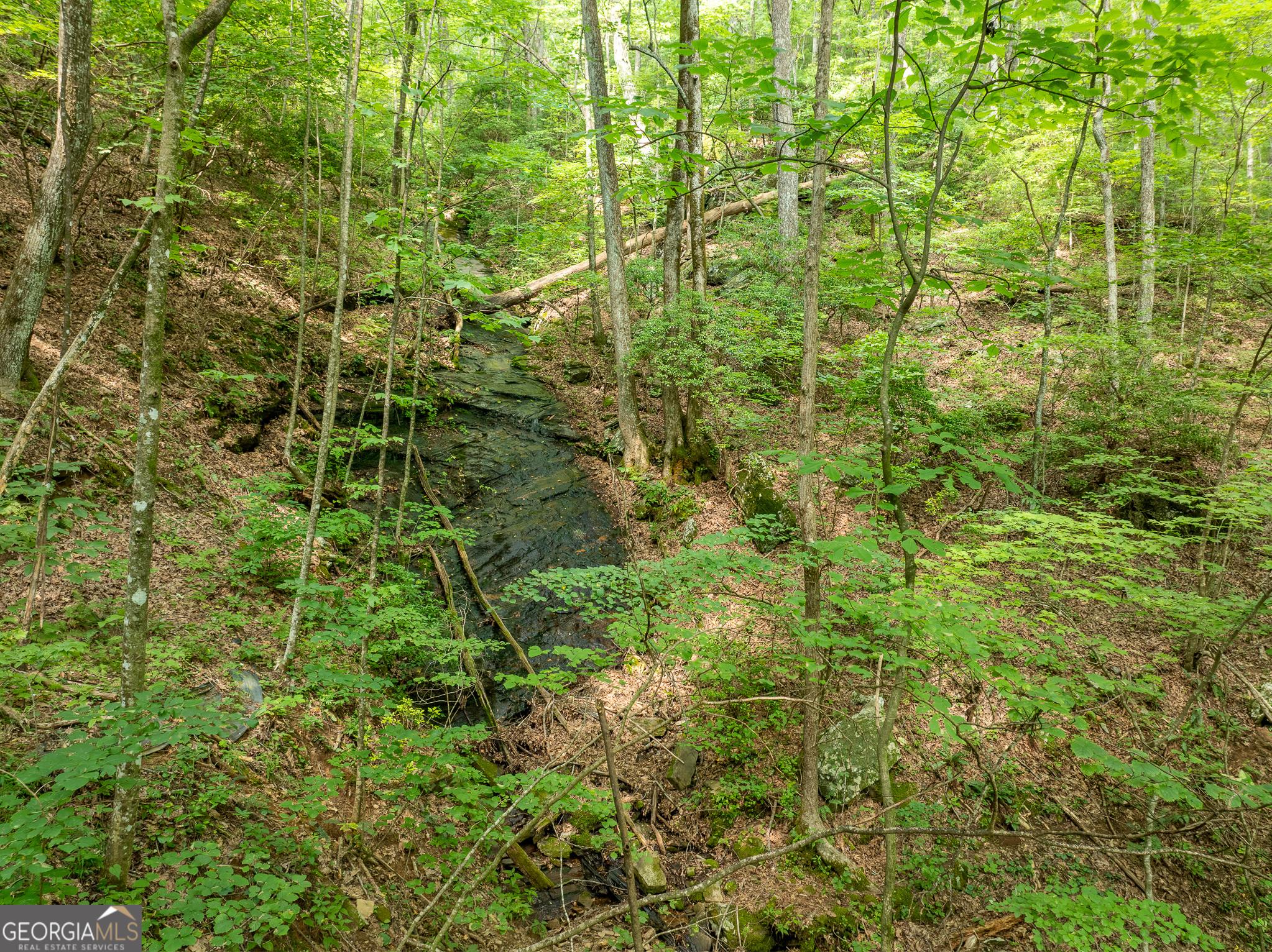 1298 Cold Stream Trail Property Photo 40