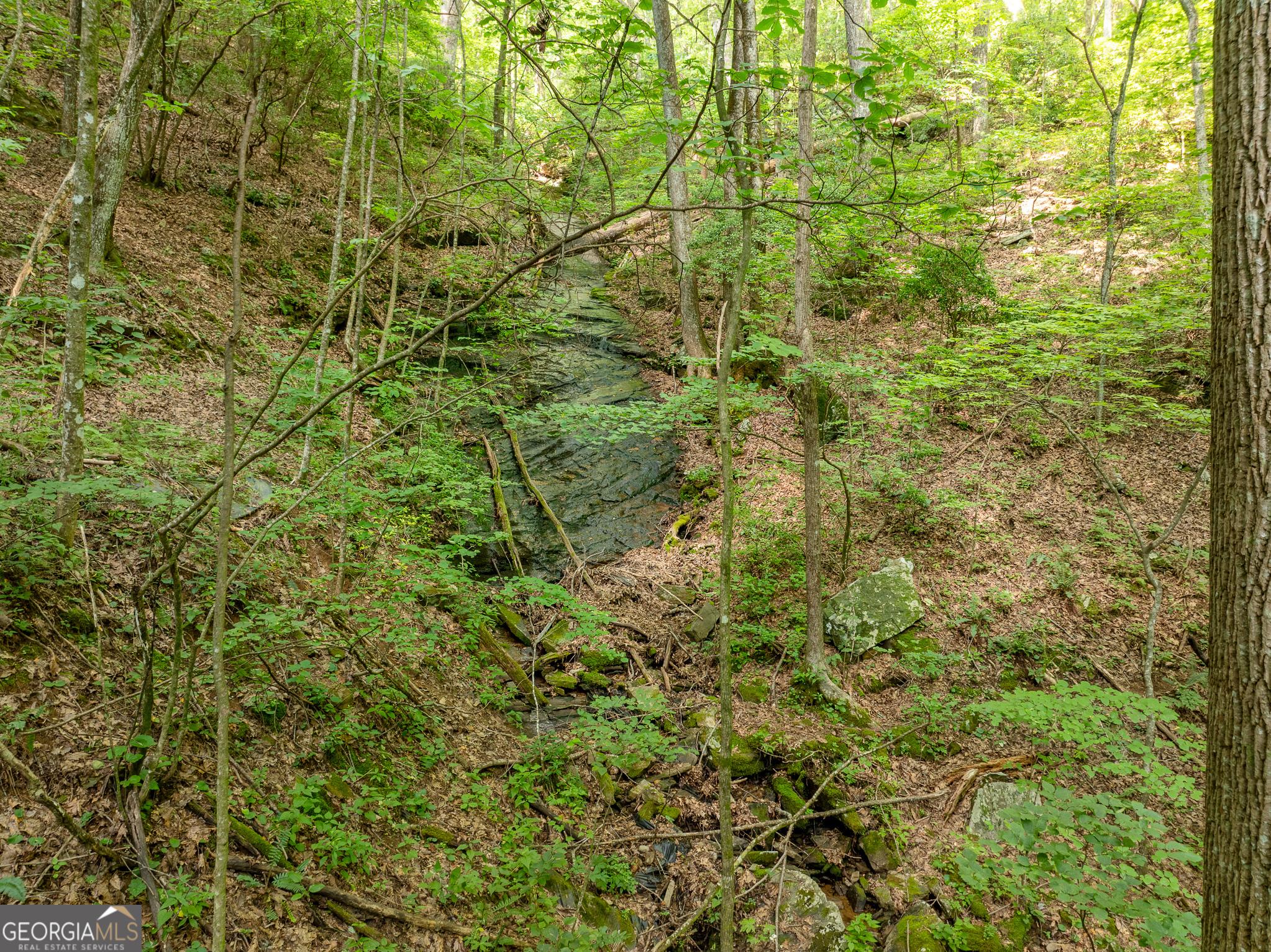 1298 Cold Stream Trail Property Photo 41