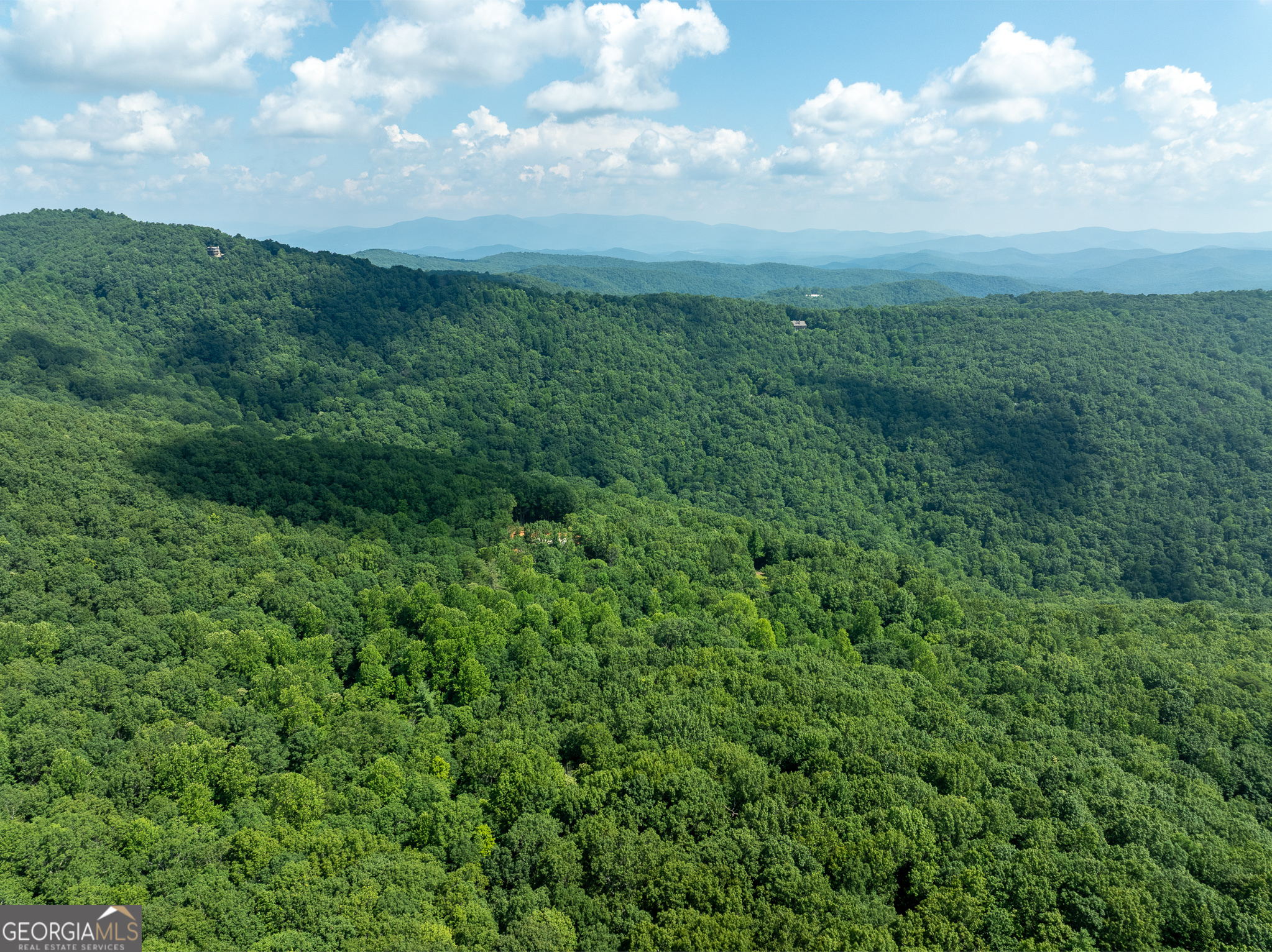 1298 Cold Stream Trail Property Photo 44
