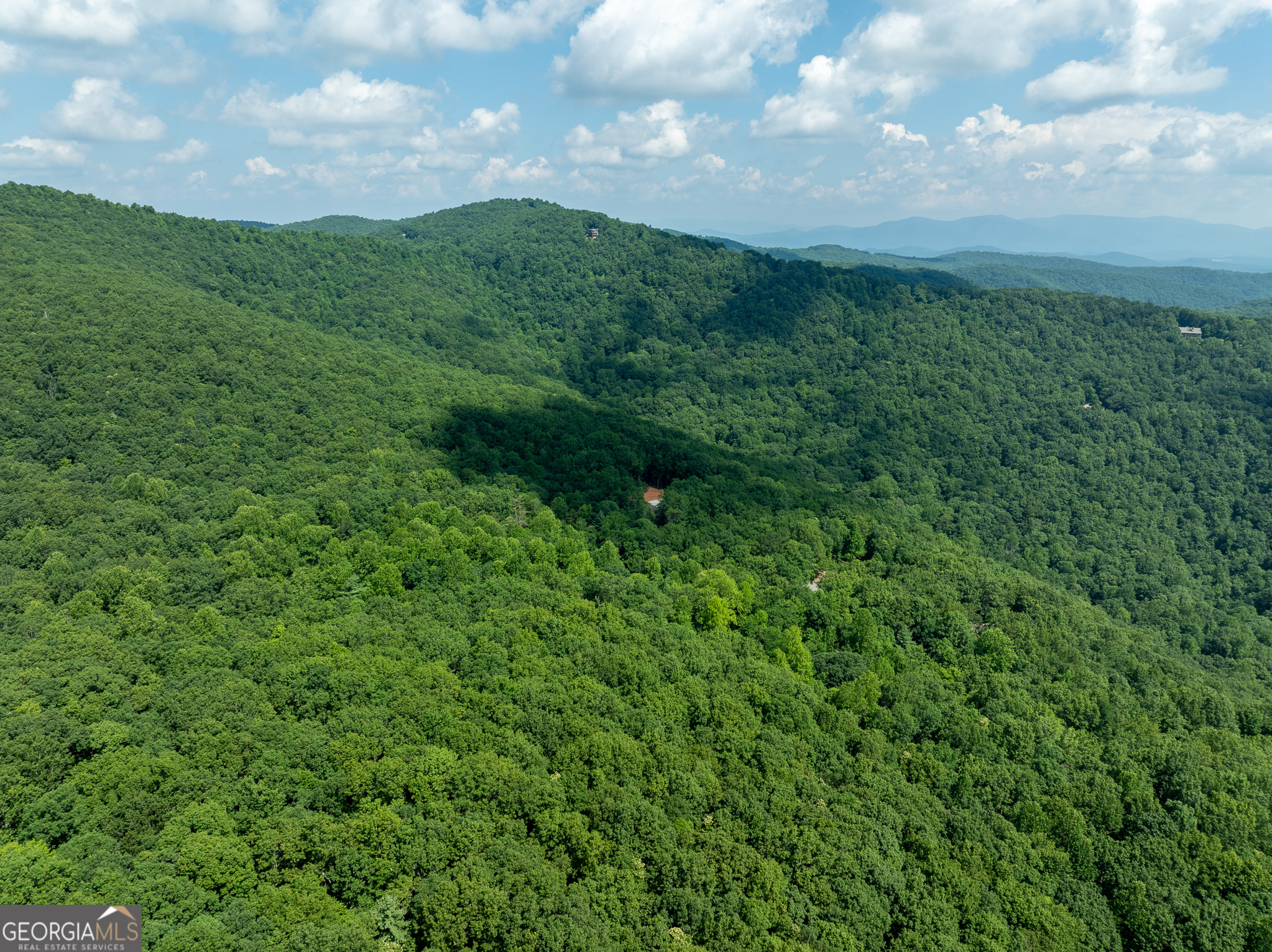 1298 Cold Stream Trail Property Photo 46