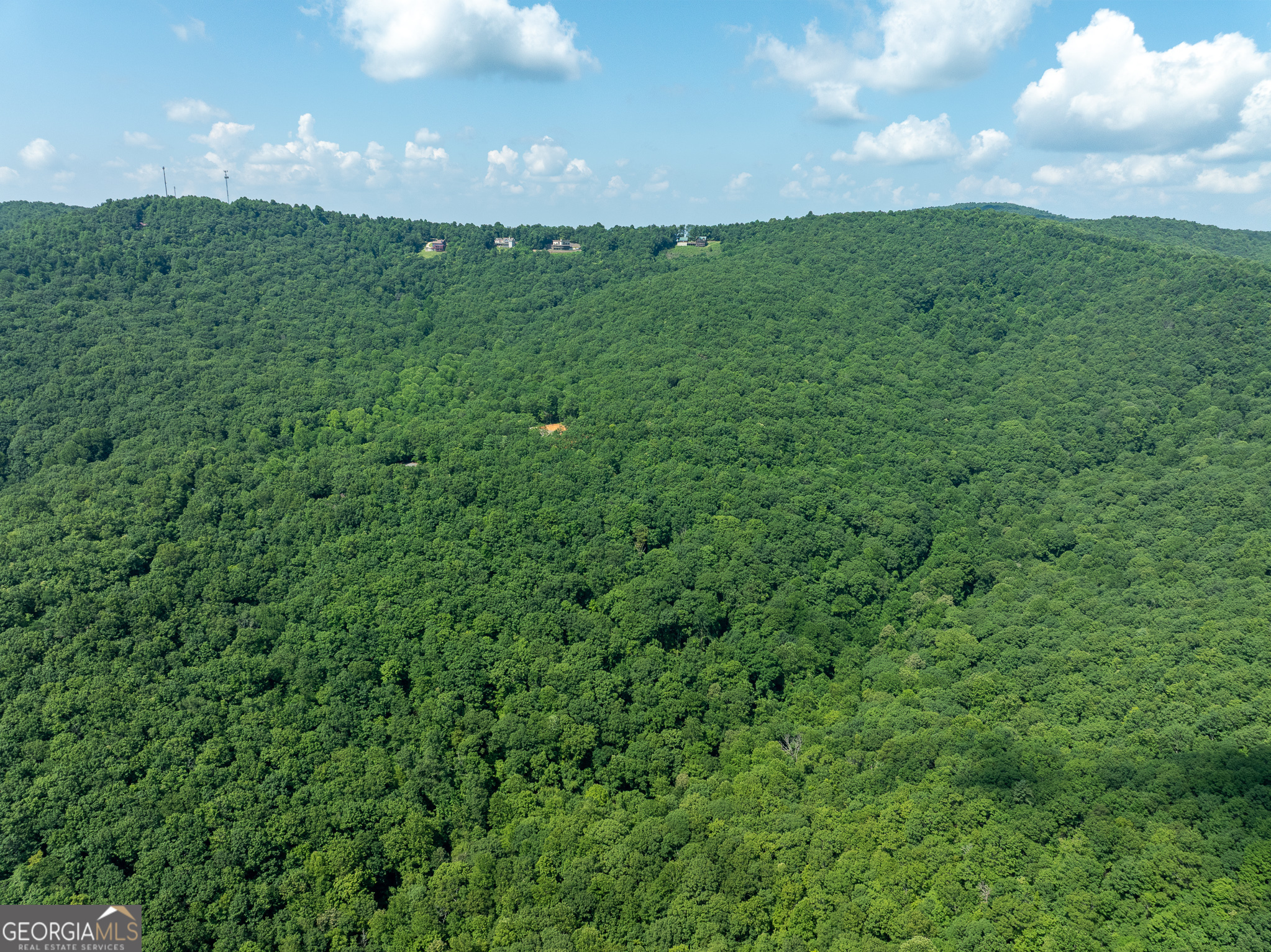 1298 Cold Stream Trail Property Photo 47