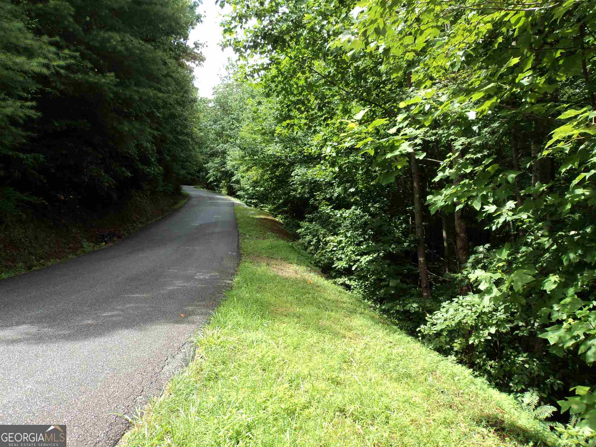 0 Smokey Hollow Drive Lot 27 Property Photo 1