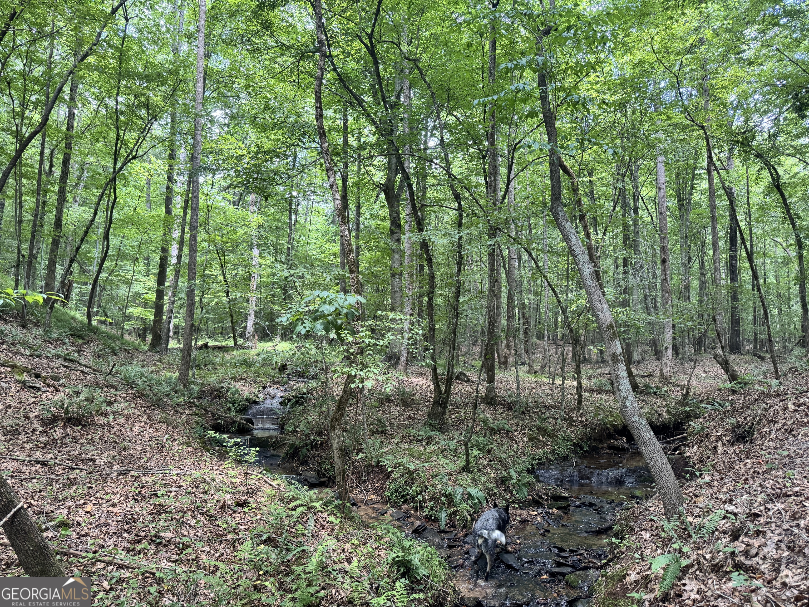 140+/- Ac Hwy 100 Property Photo 1