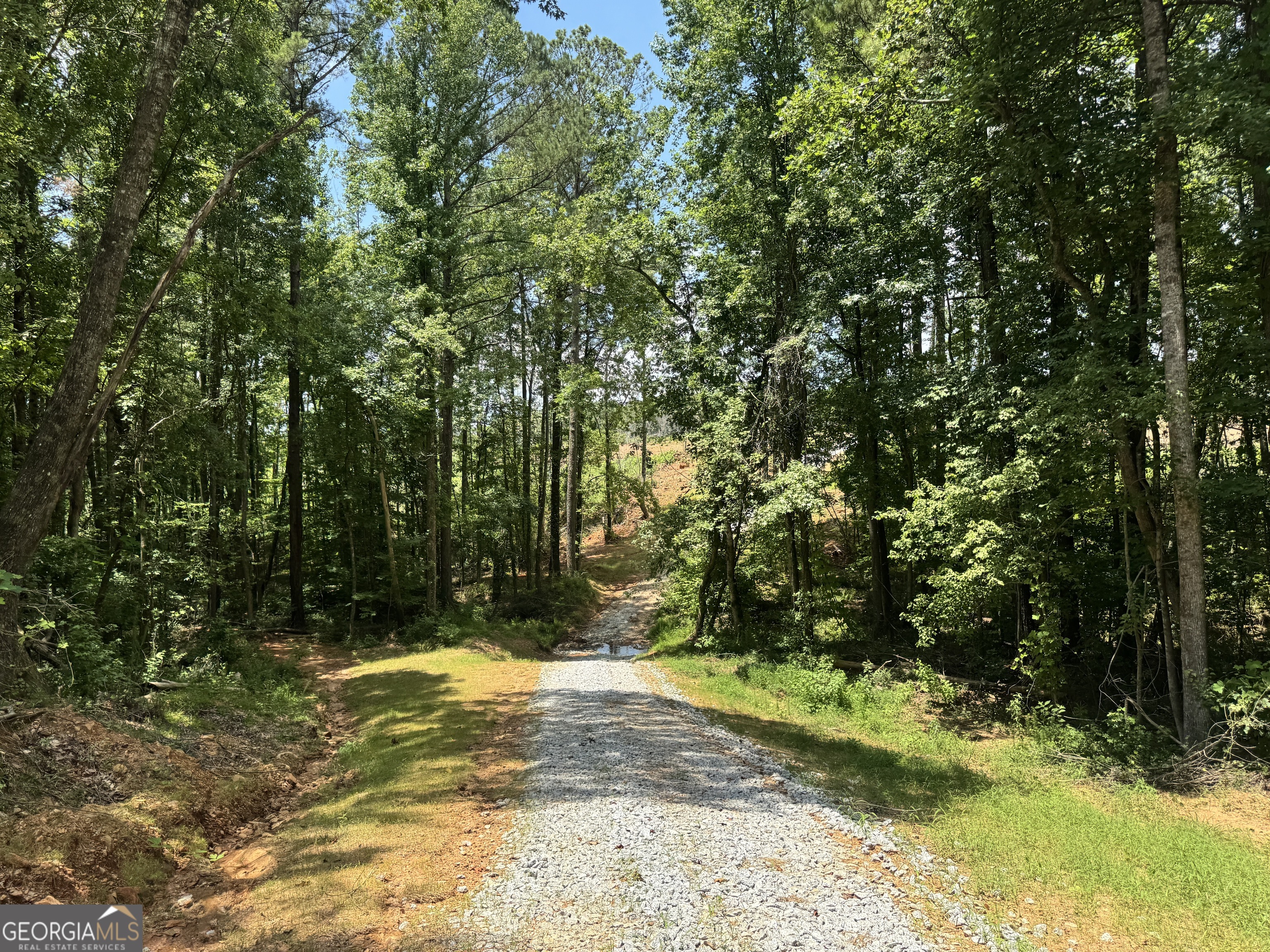 319 +/- Ac Hwy 100 Property Photo 1