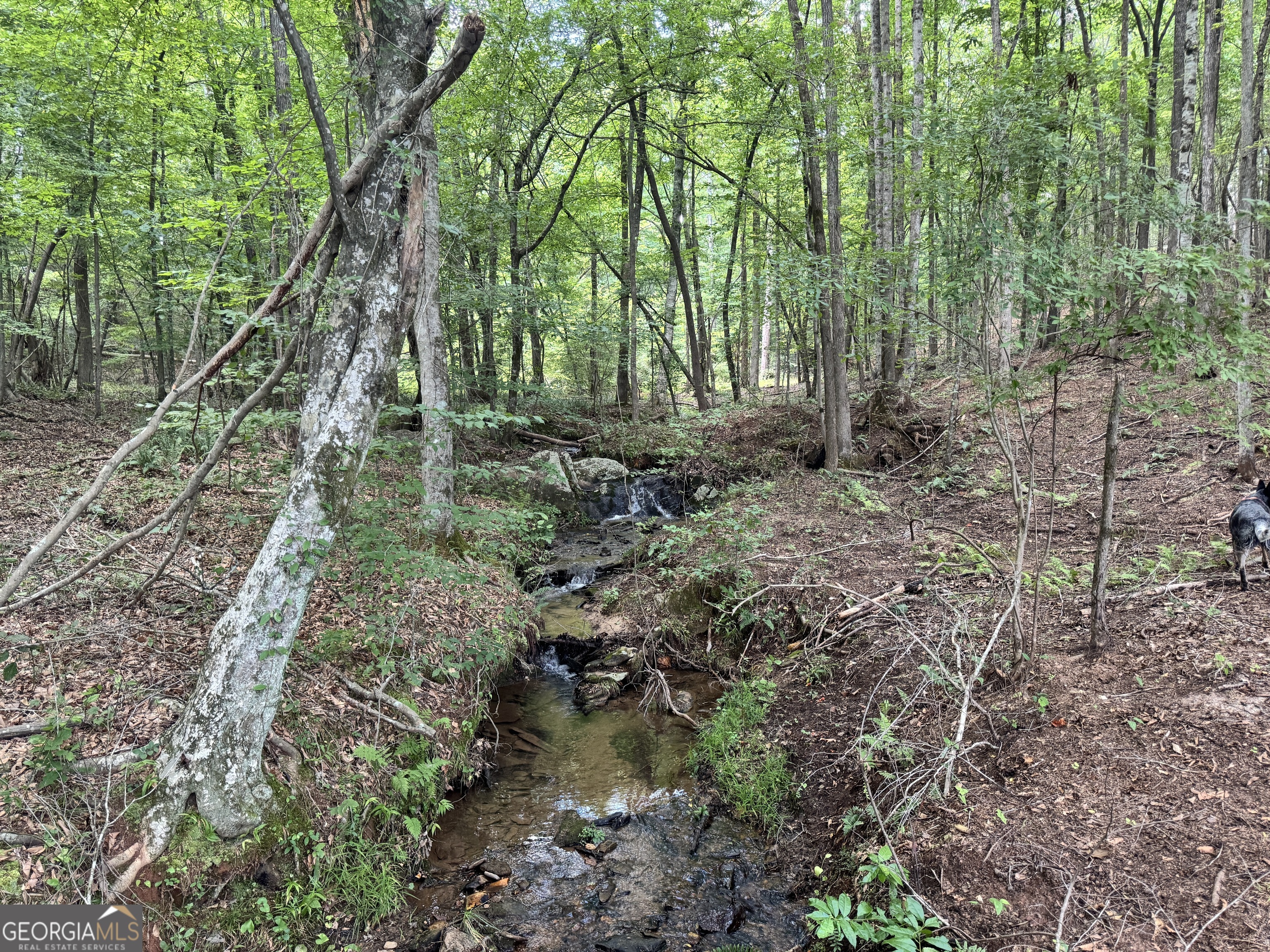 319 +/- Ac Hwy 100 Property Photo 1