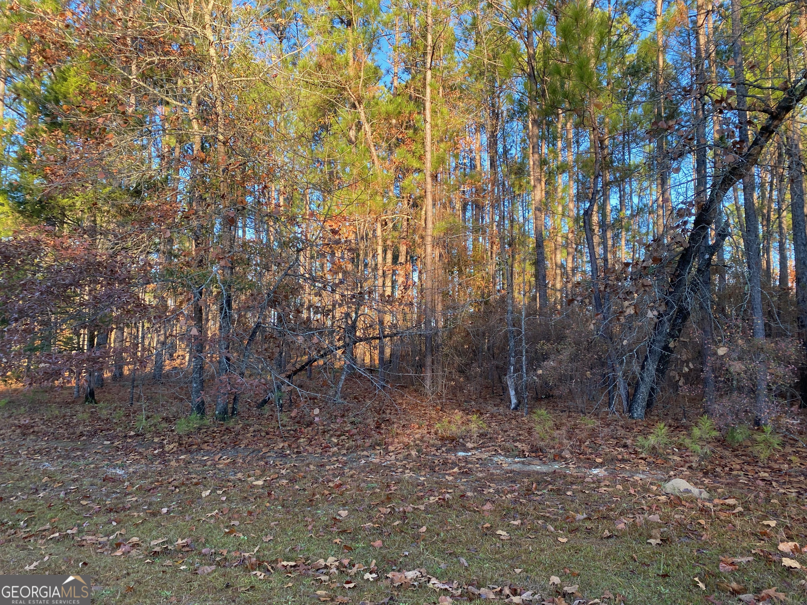 0 N Oak Ridge Drive Property Photo 1